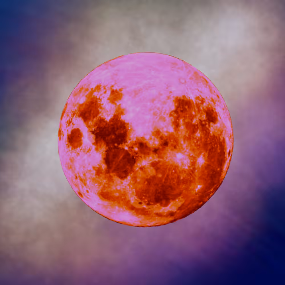 -<Beta Moons>- #6