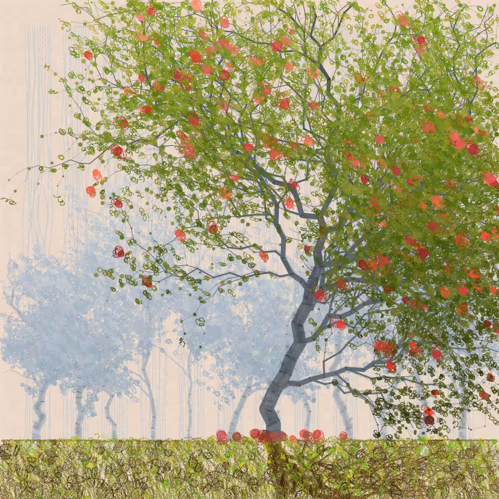 Orchard #317