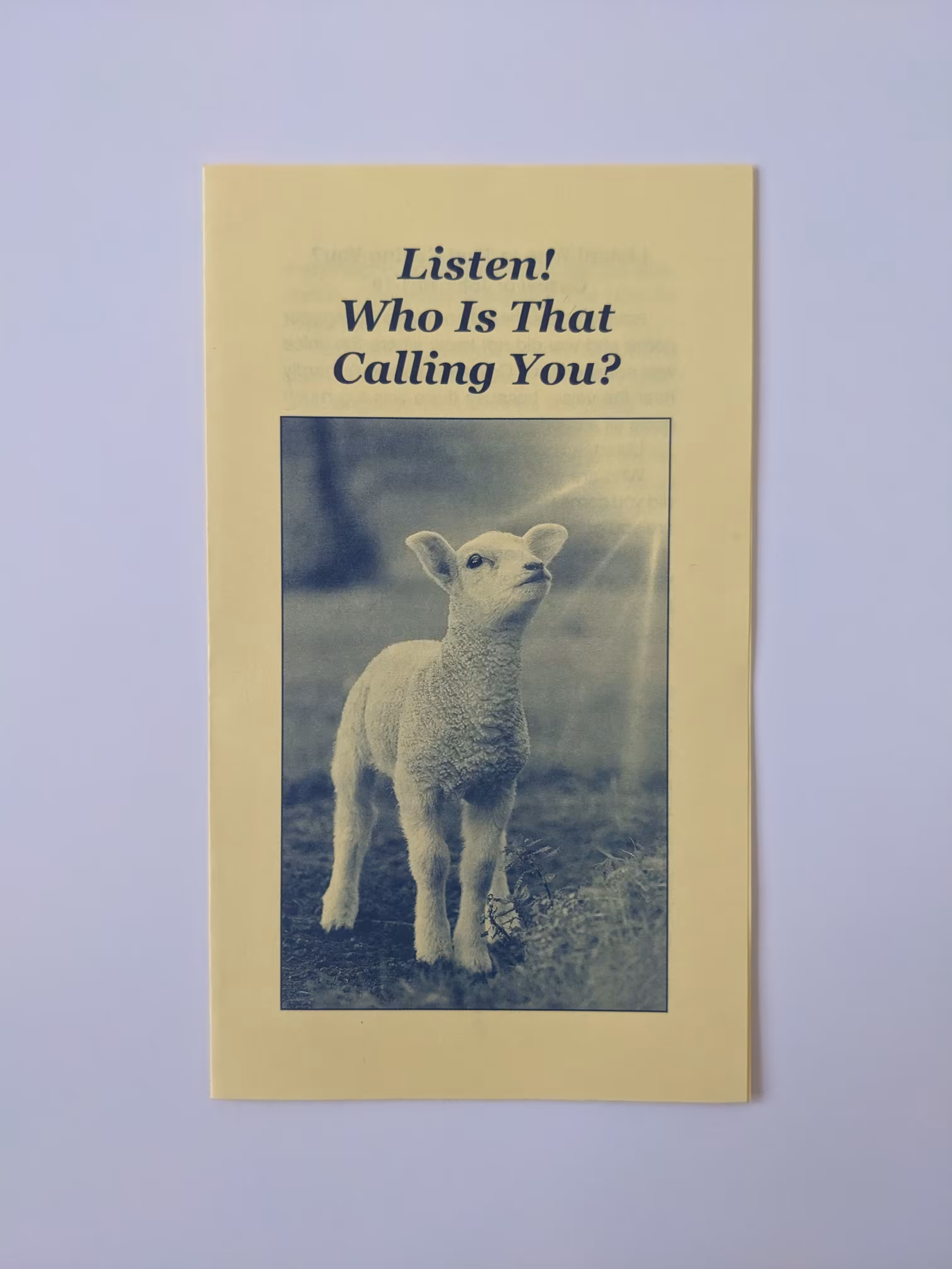 Listen! Who Is That Calling You? #2