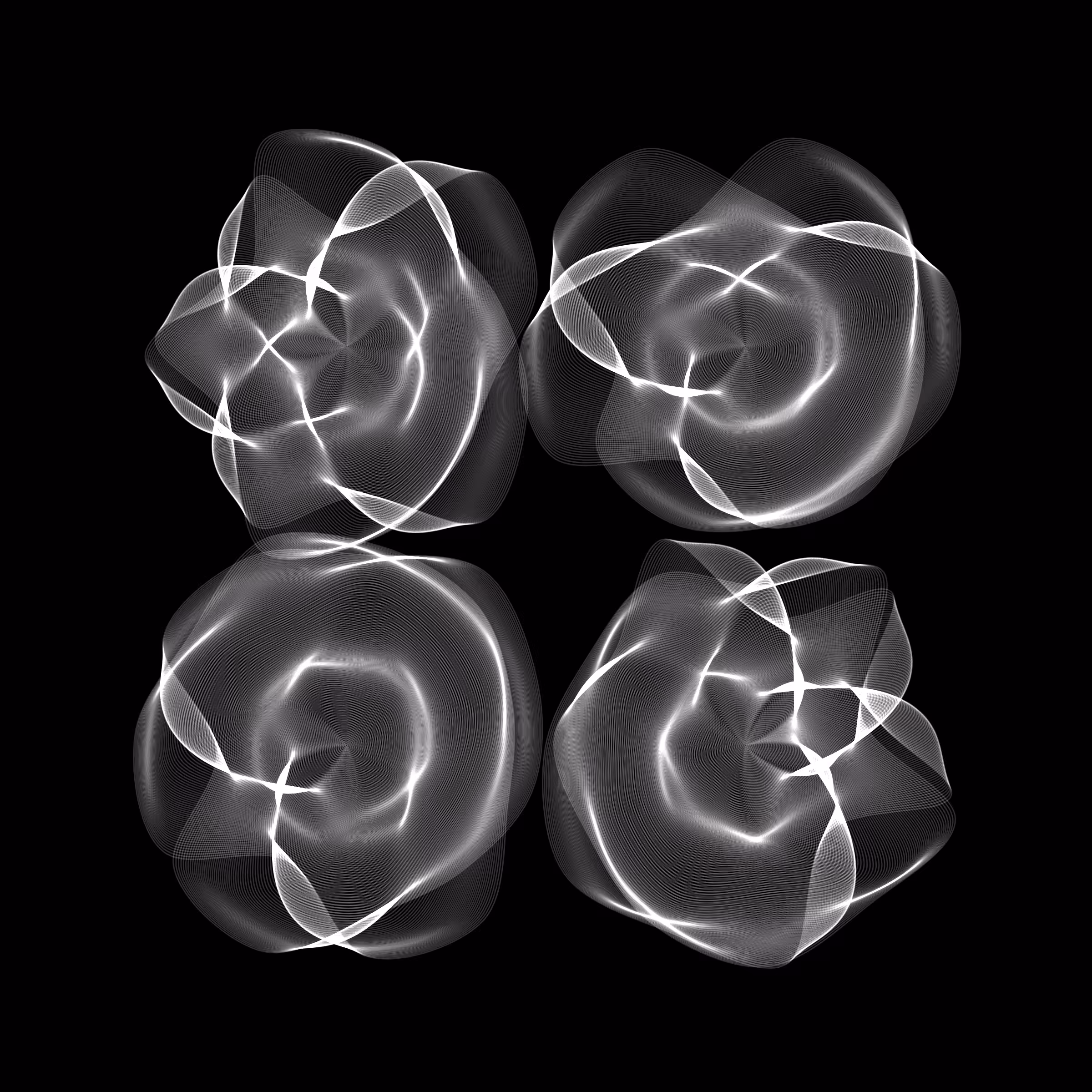 Flowers #4797