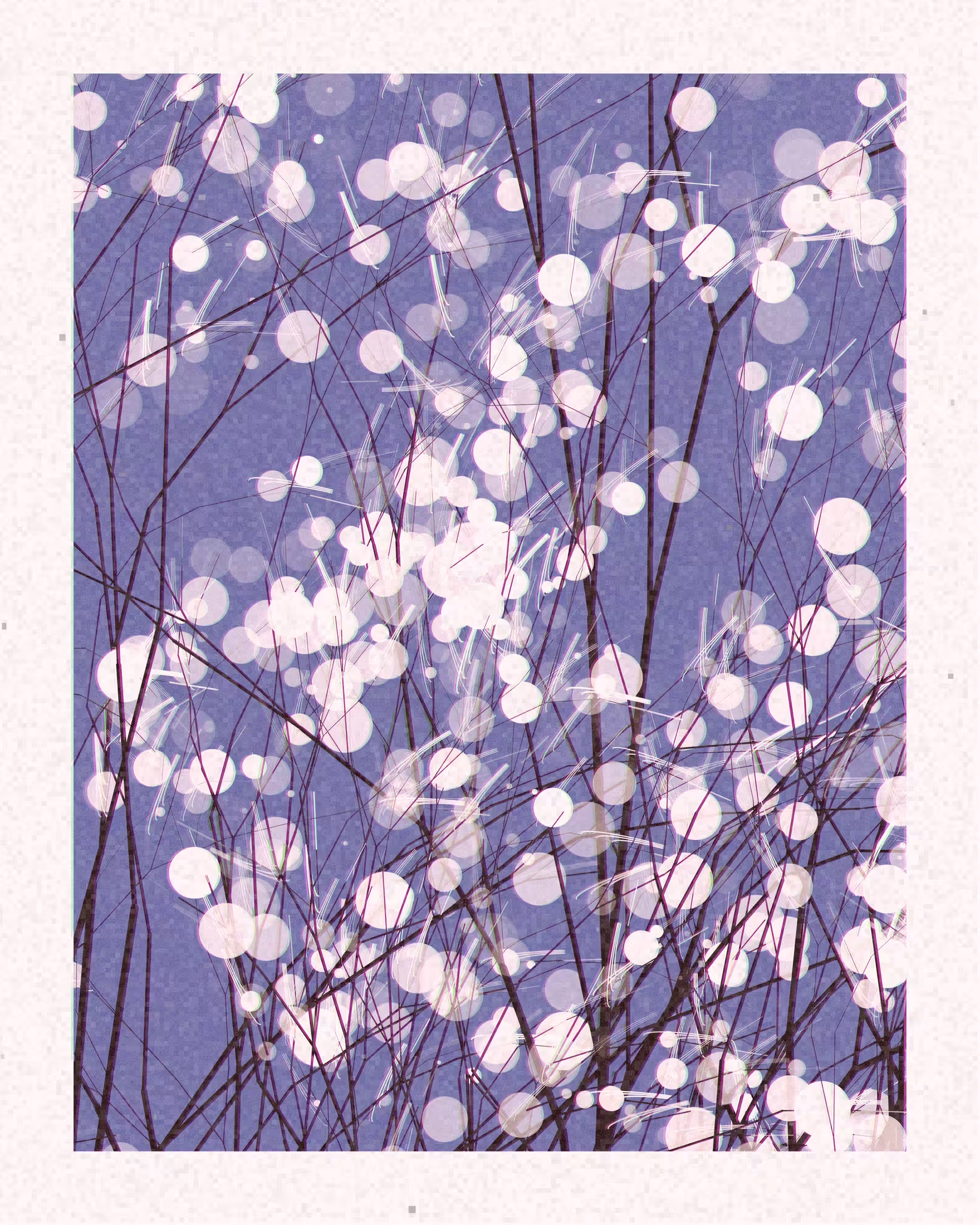 Rodeo posts: Spring