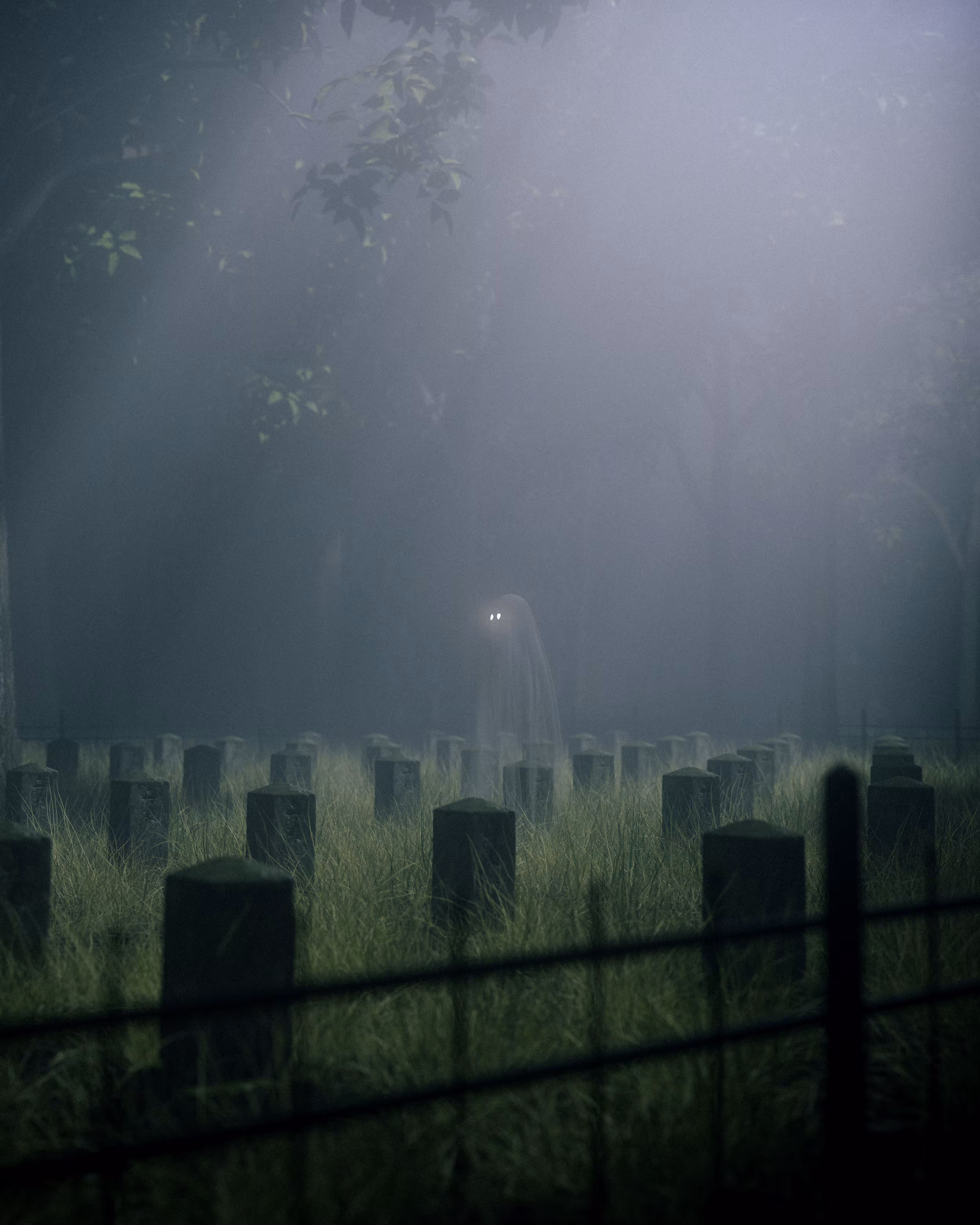 Graveyard Visit