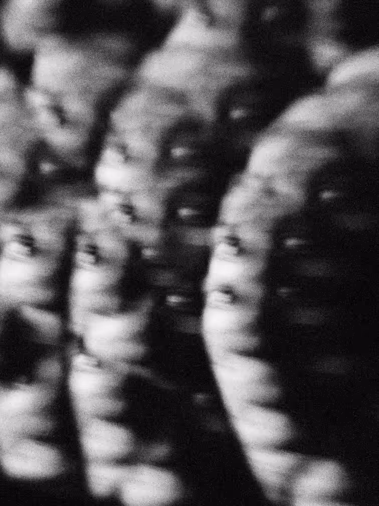 Ghost frame 1 