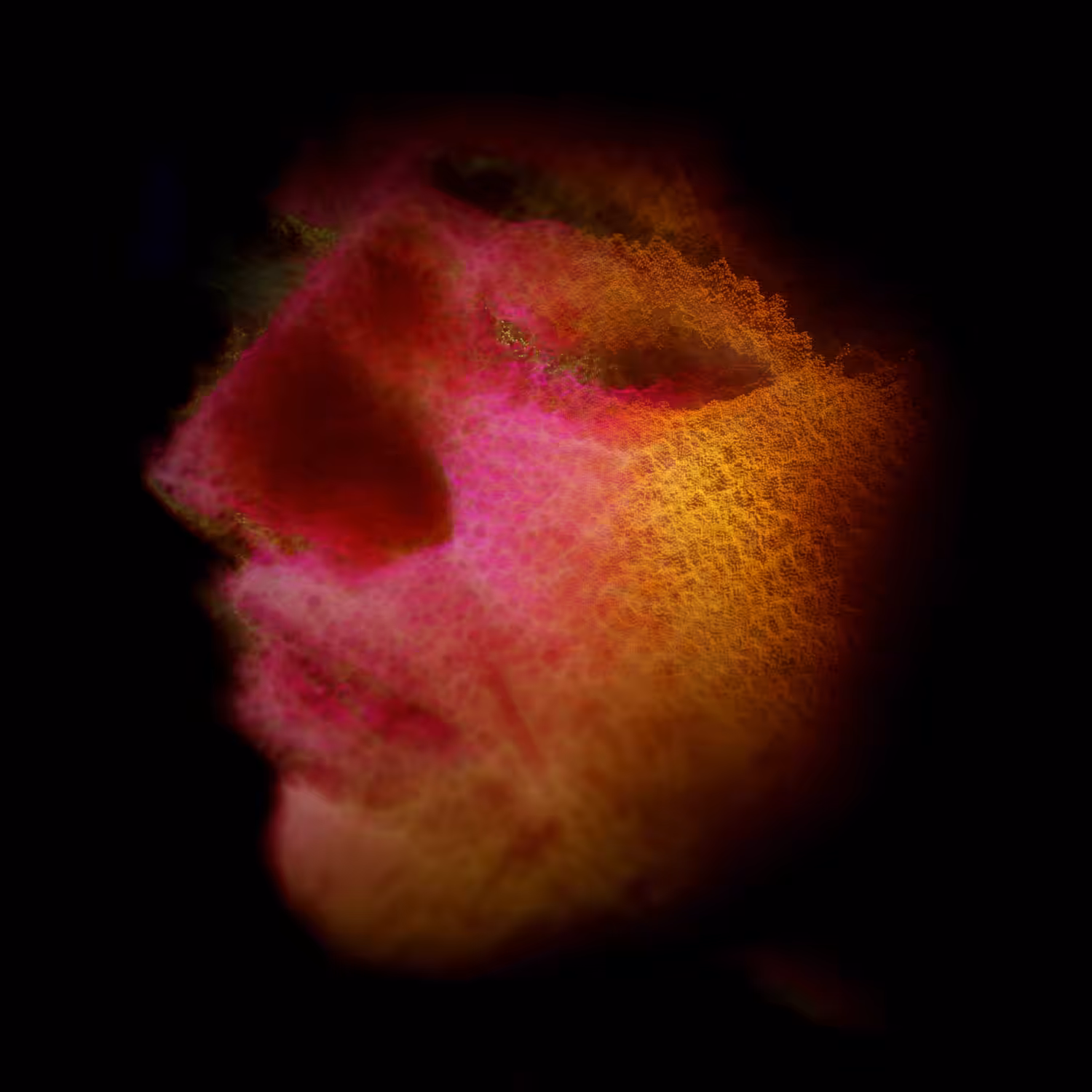Hypnagogia