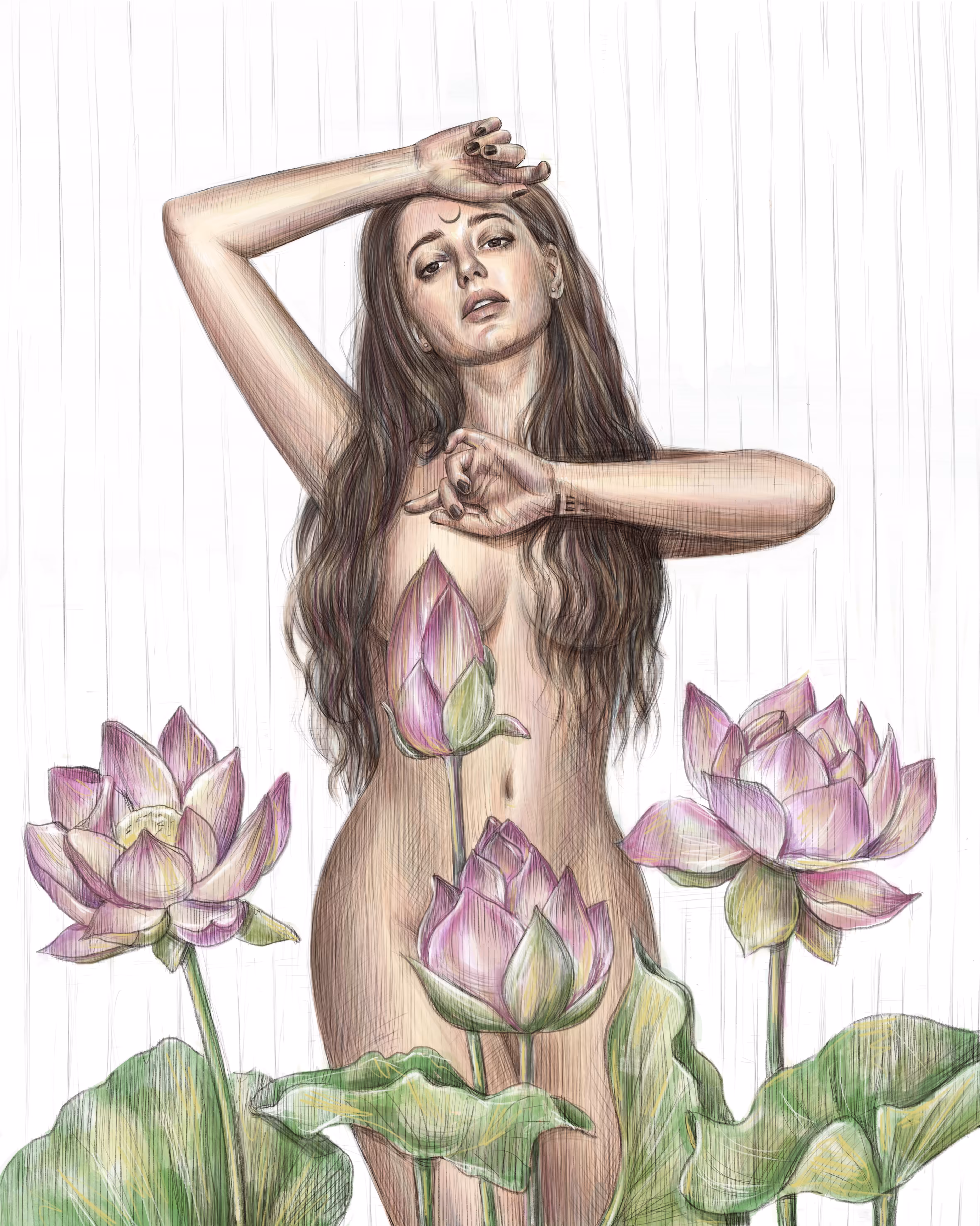 Lotus