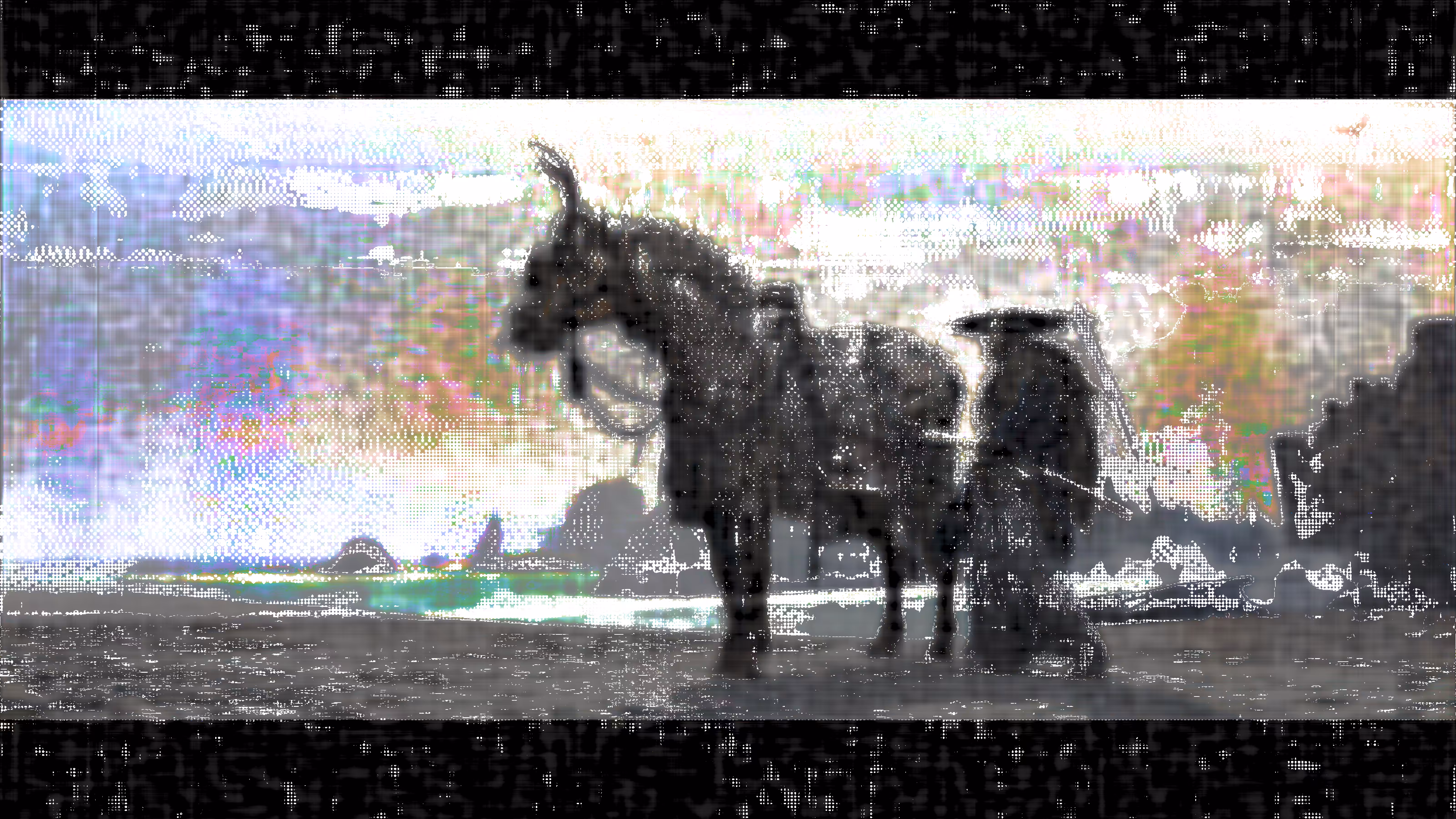  Dark horse casting a shadow 