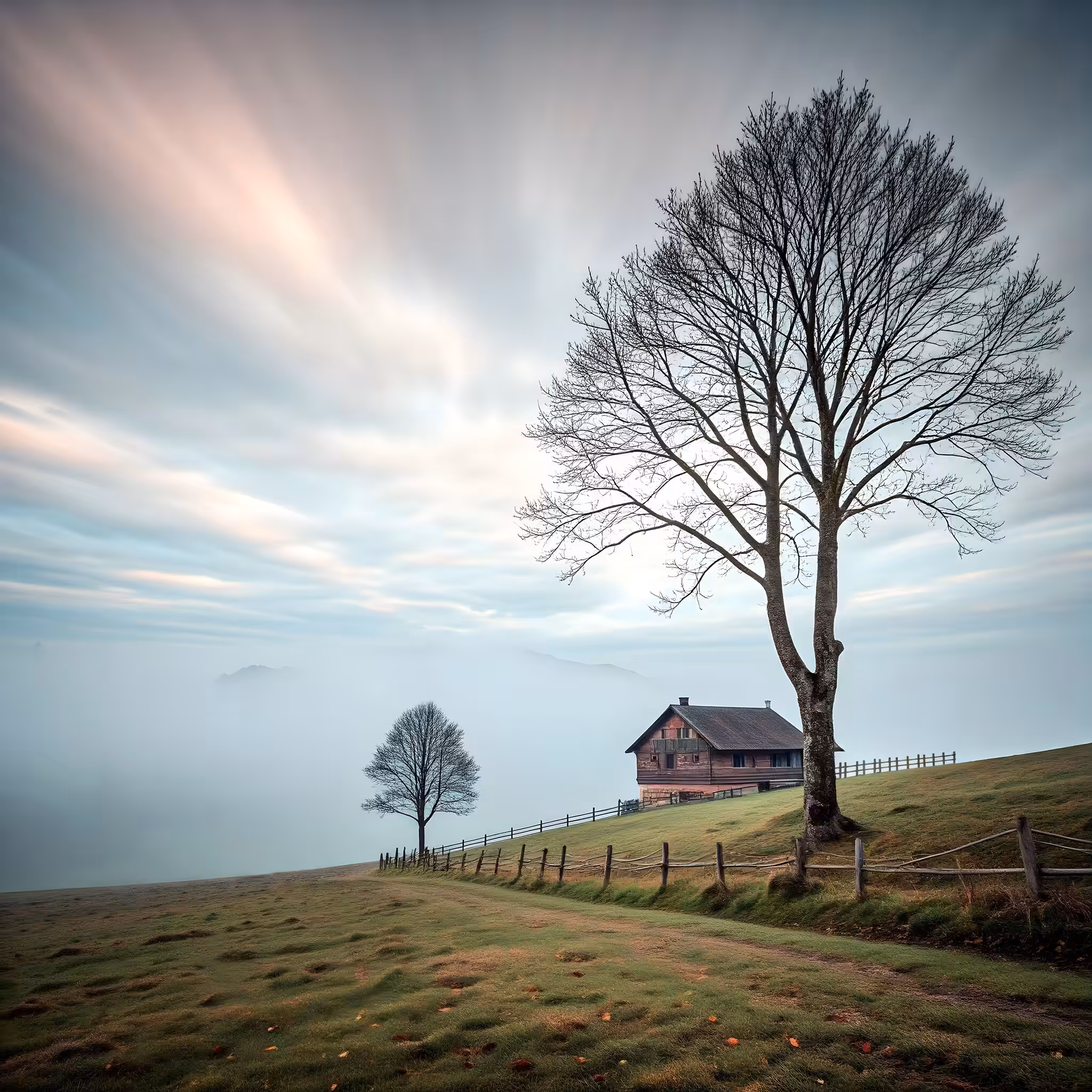 Misty Solitude (1)