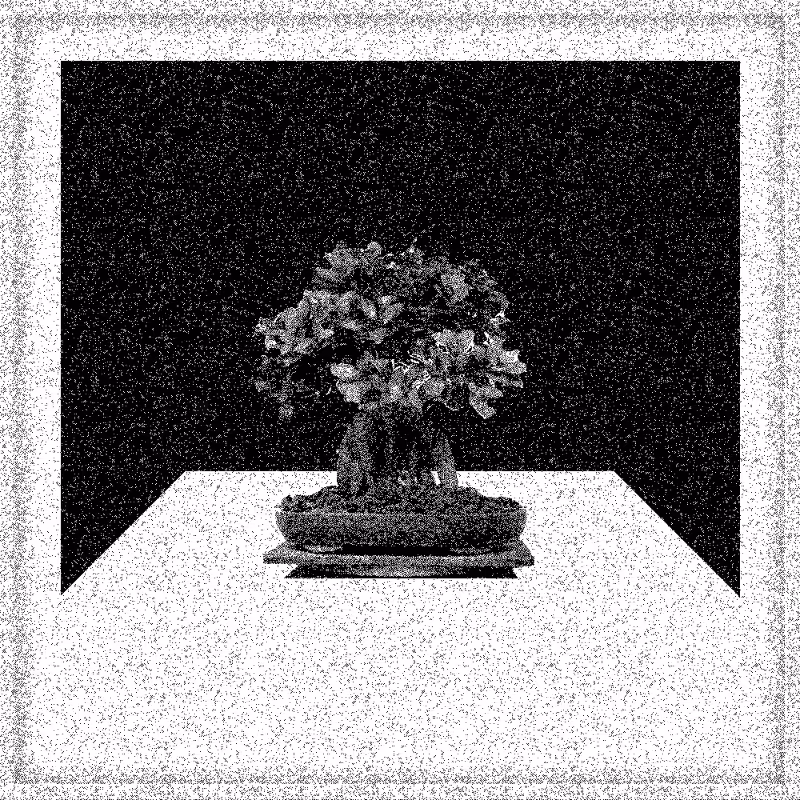 Bonsai Bonanza #472