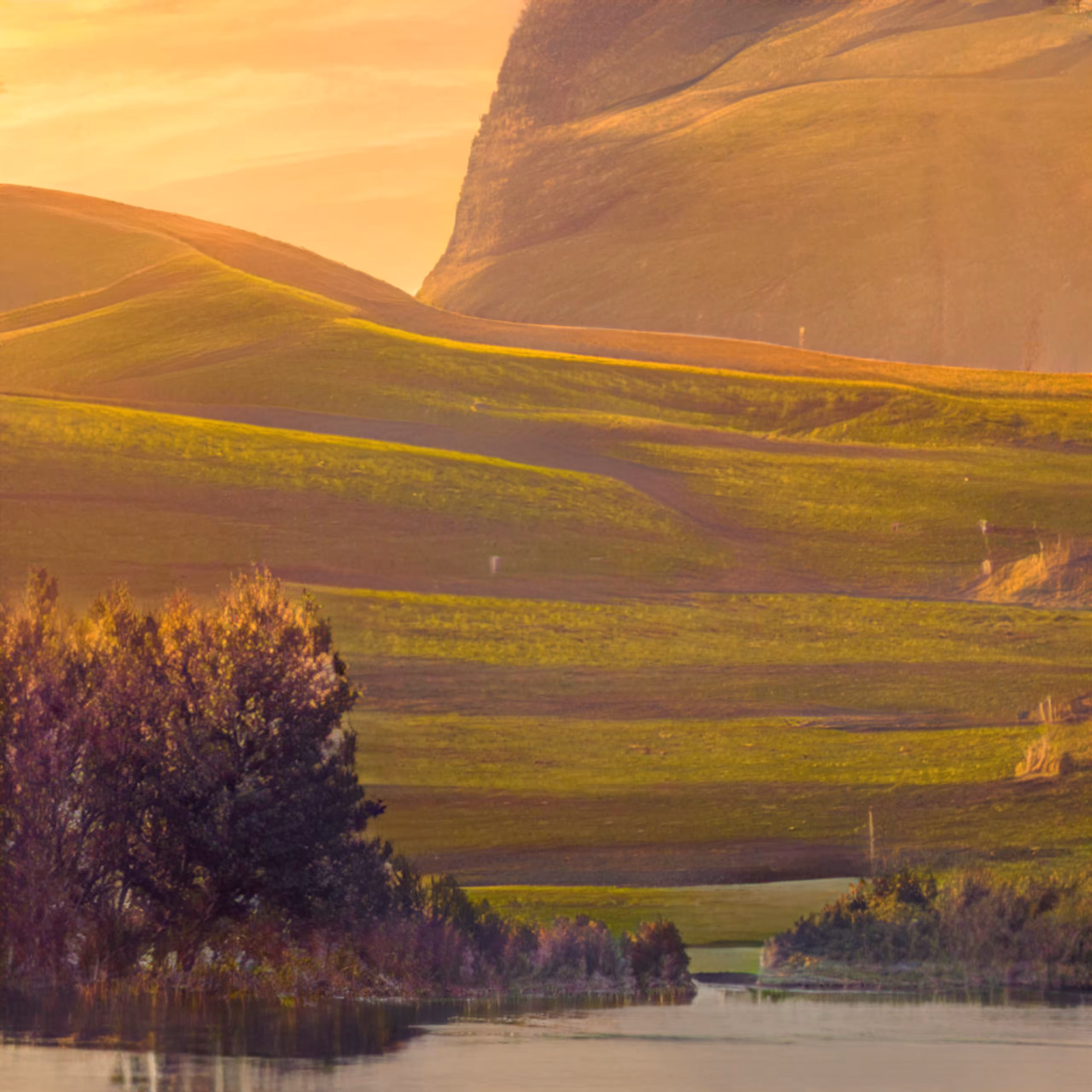 Grassy hill