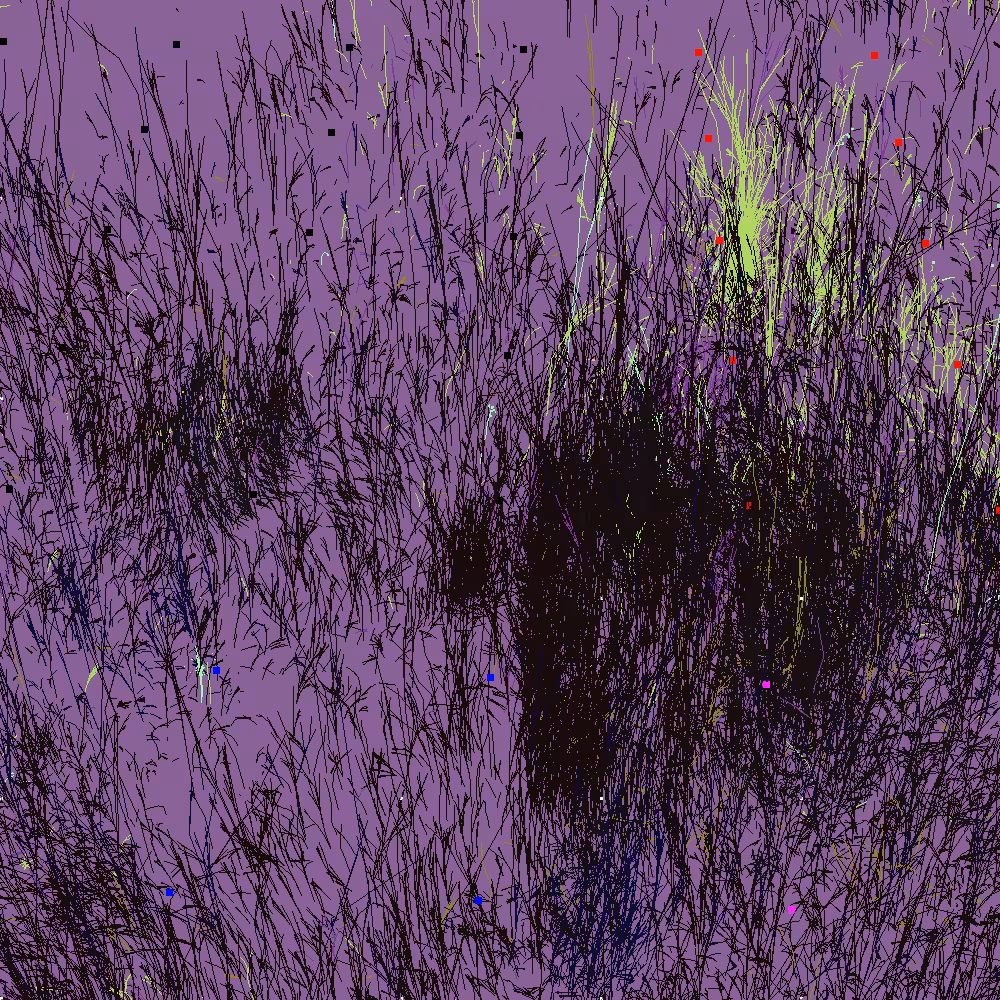 Infinite Garden: 46130 Flowers