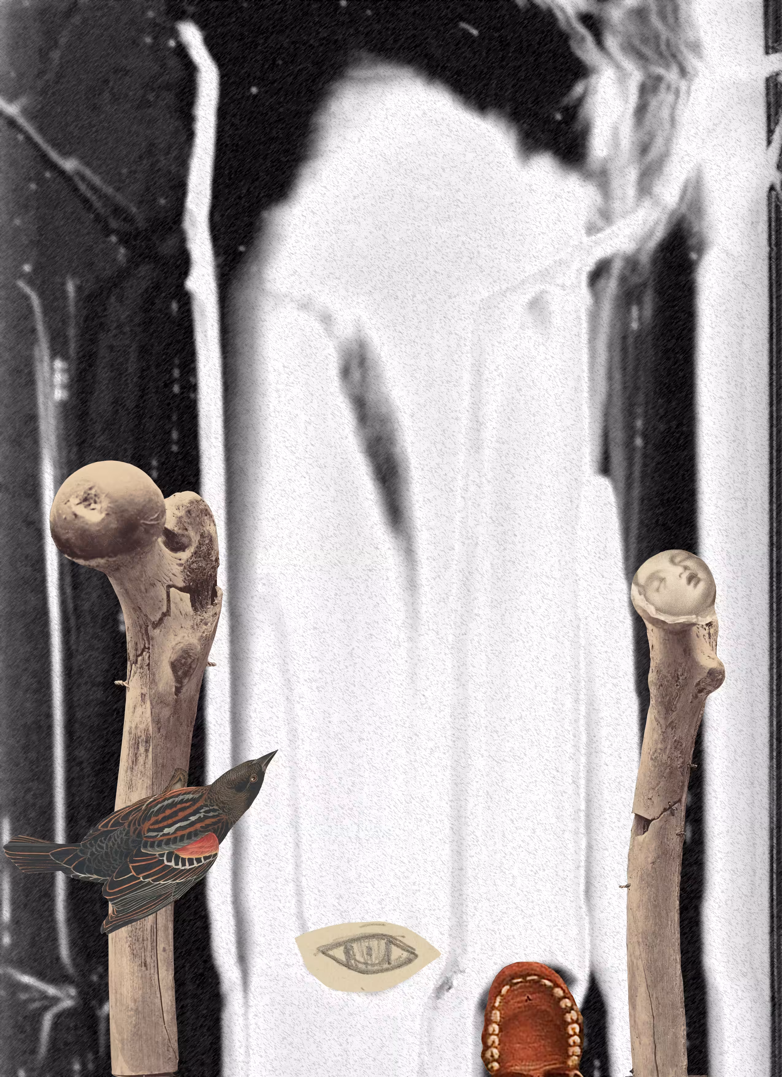 Plate 030 _ Femur