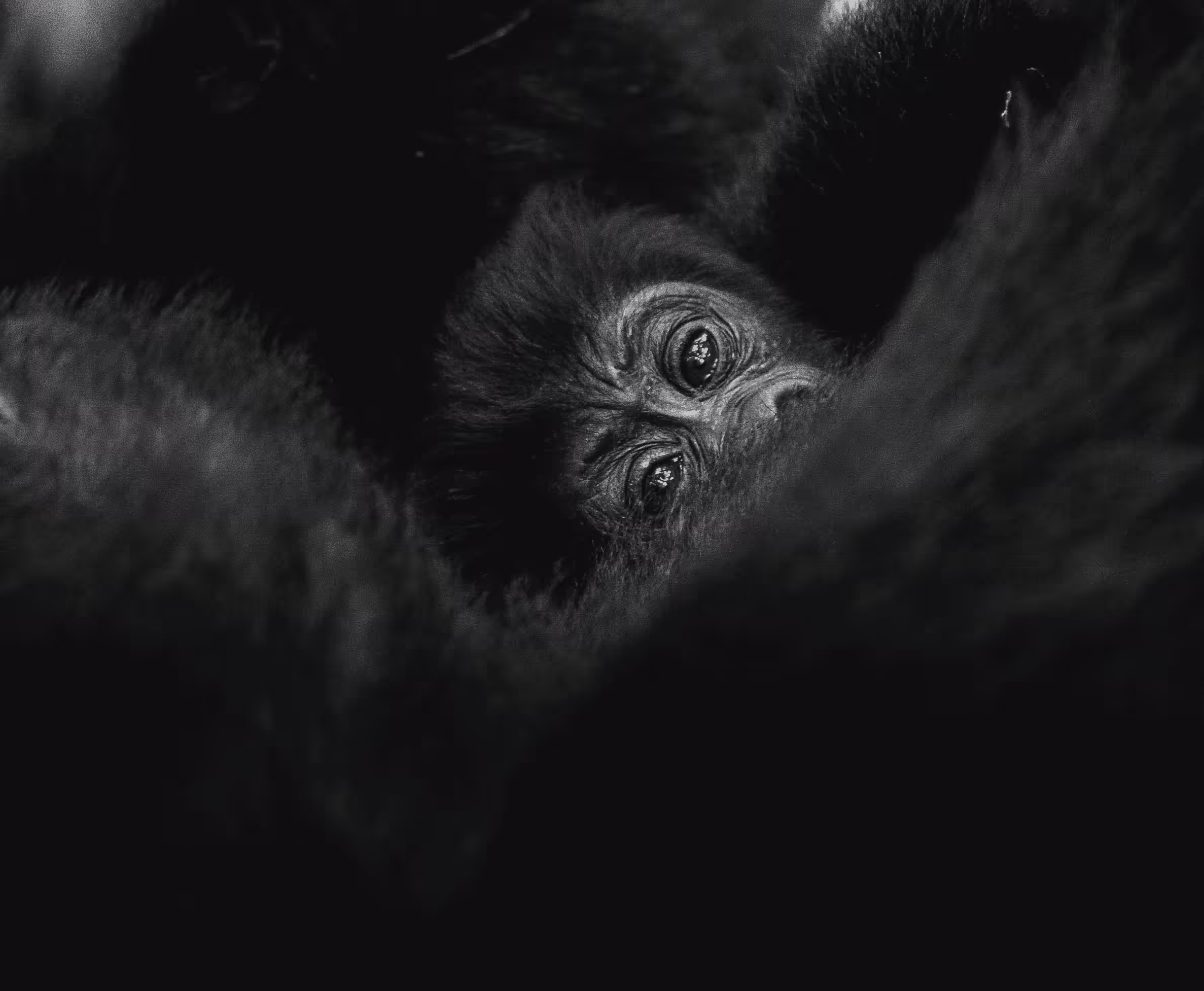 # -1 THE CHILD