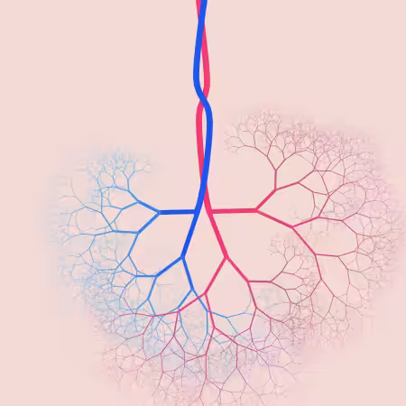 capillary trees #12