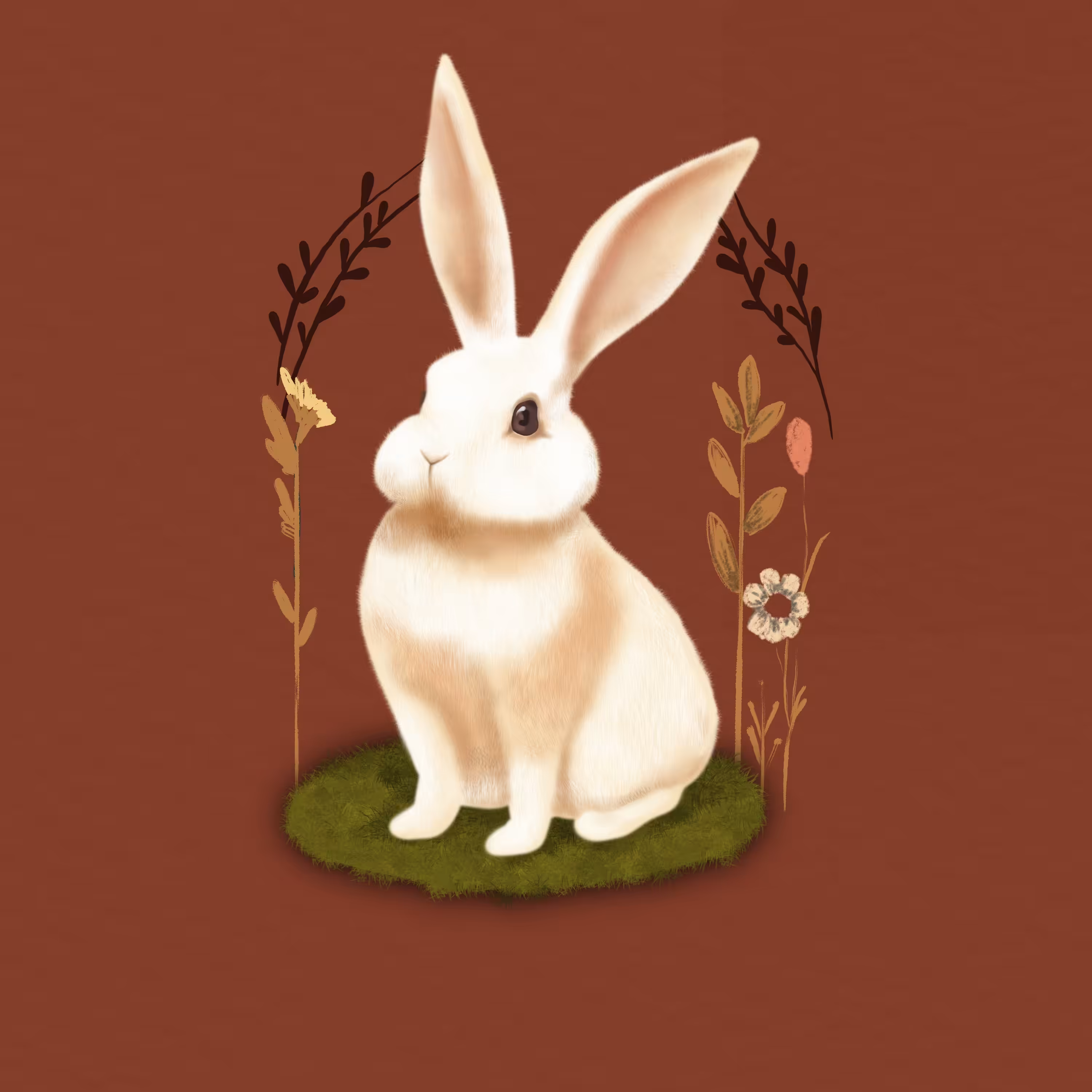 The Bunny 
