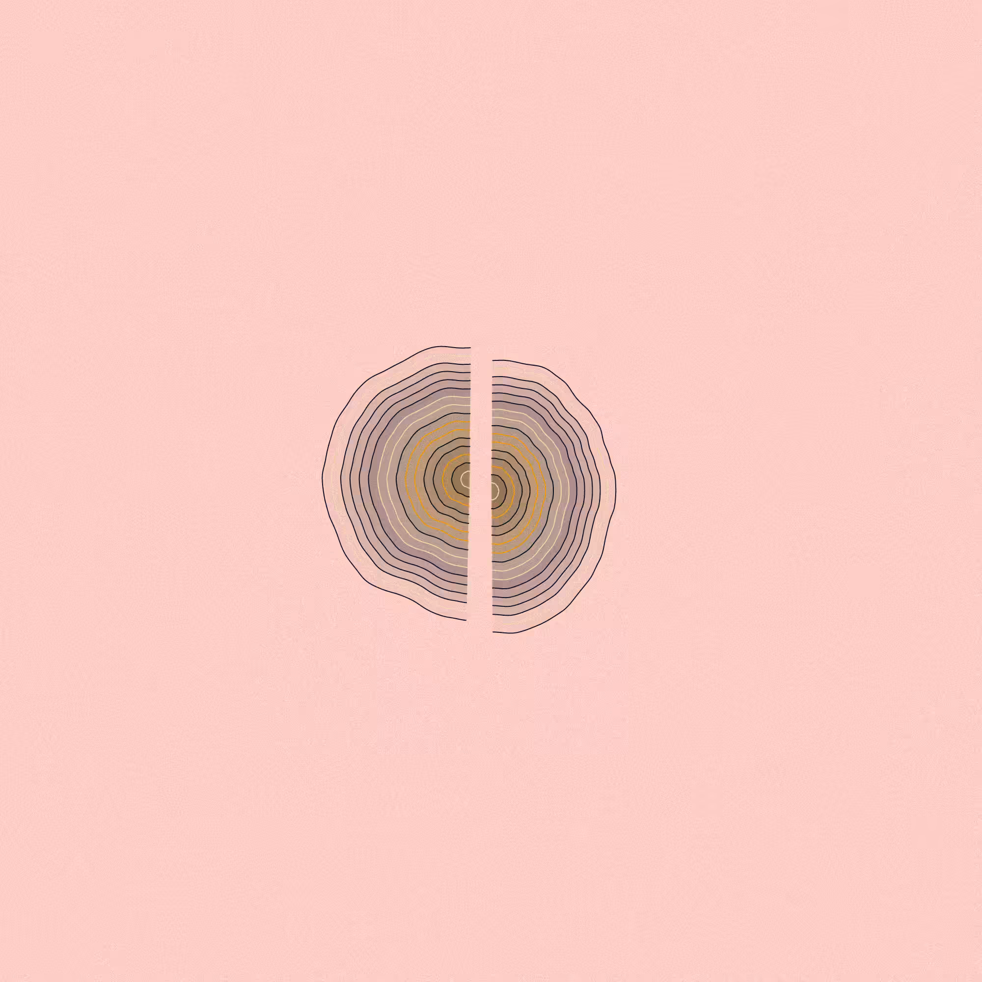 Hashed Onions #52
