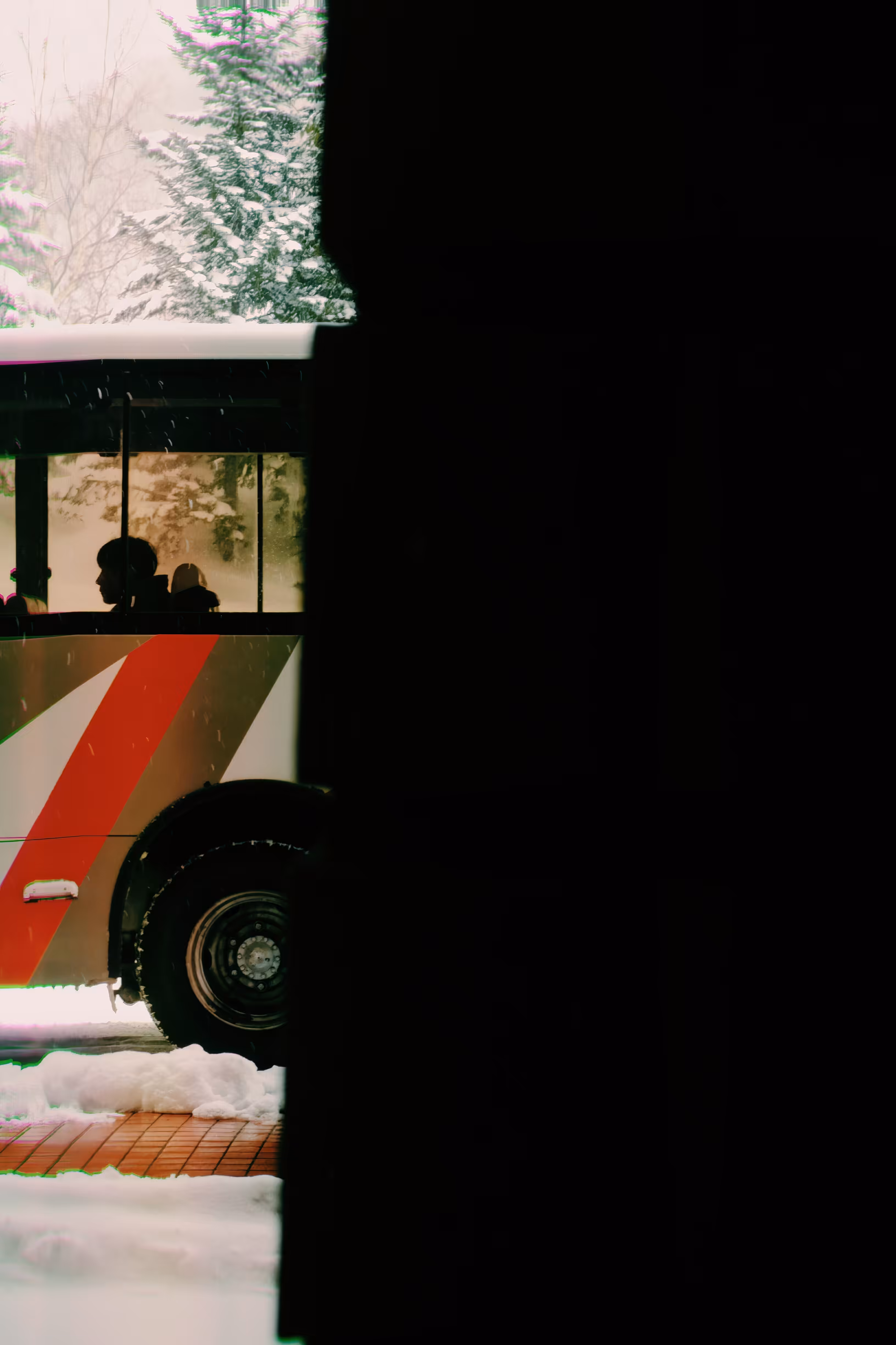 alone in winter