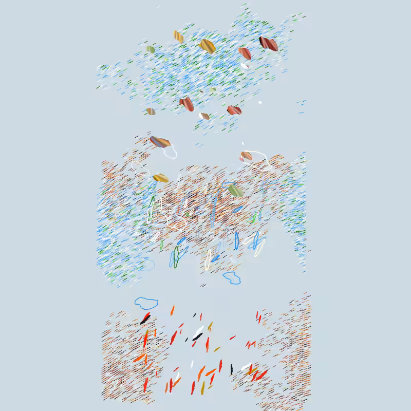 The Shadows of Shallows #16