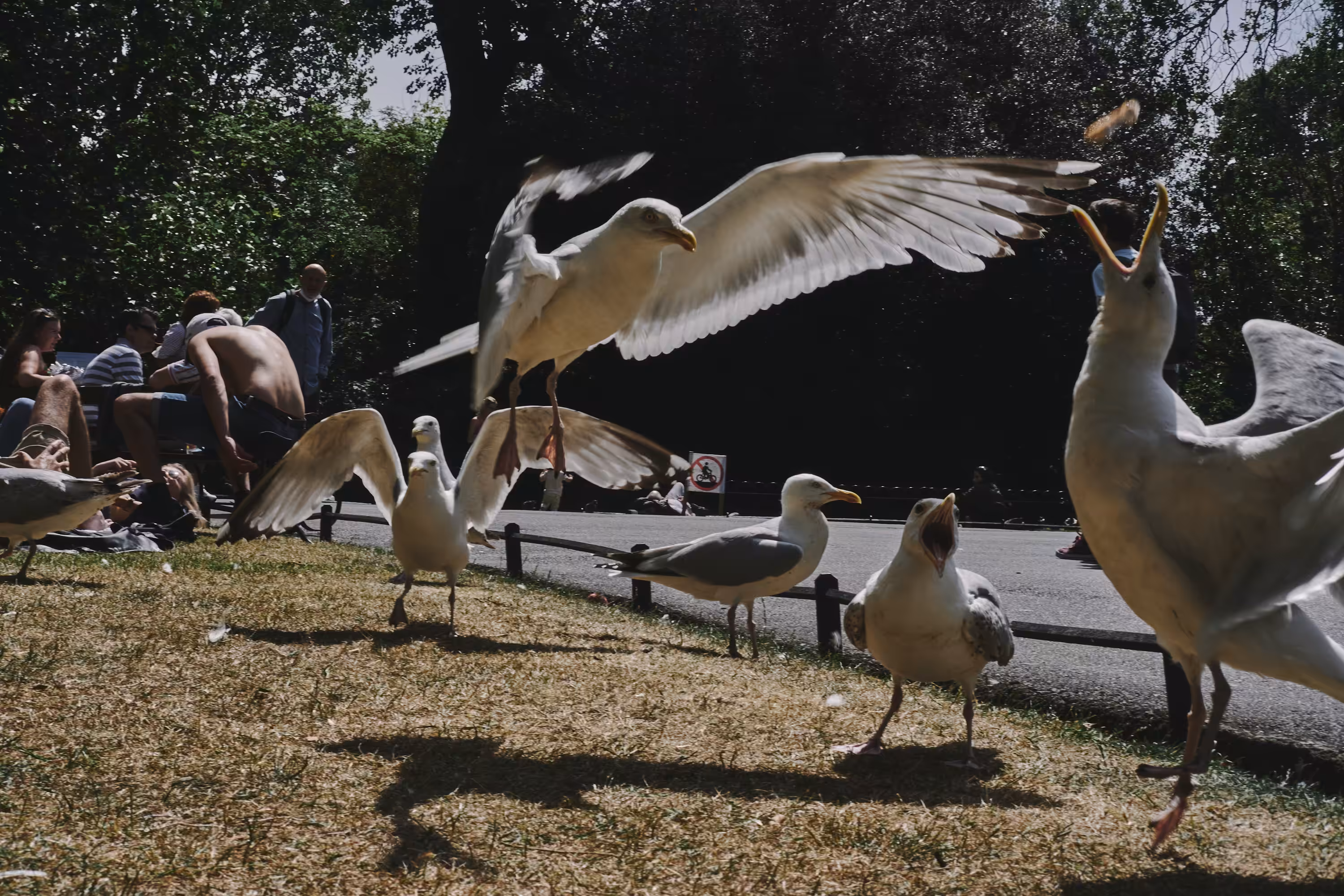 Stephen's Green