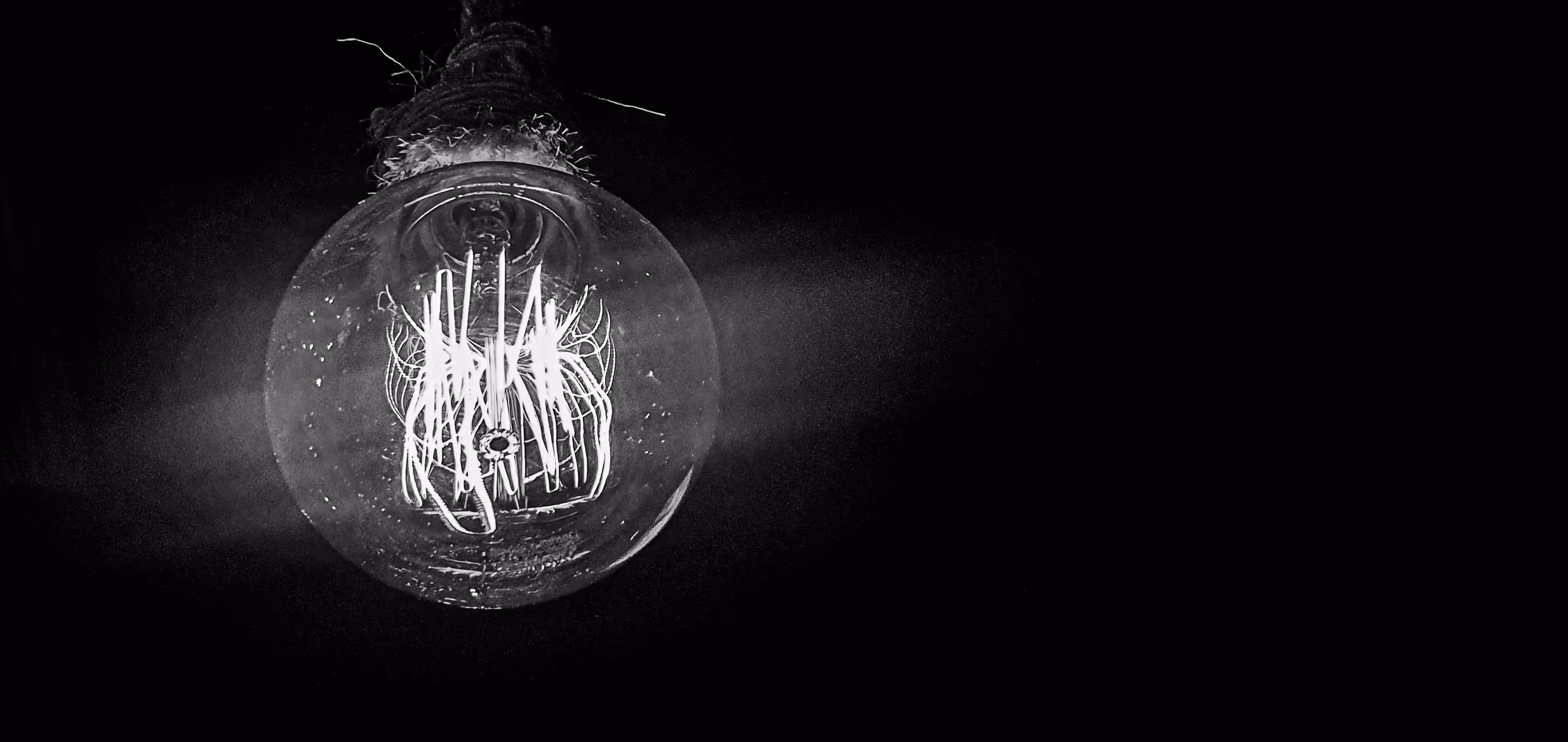 Into the Light