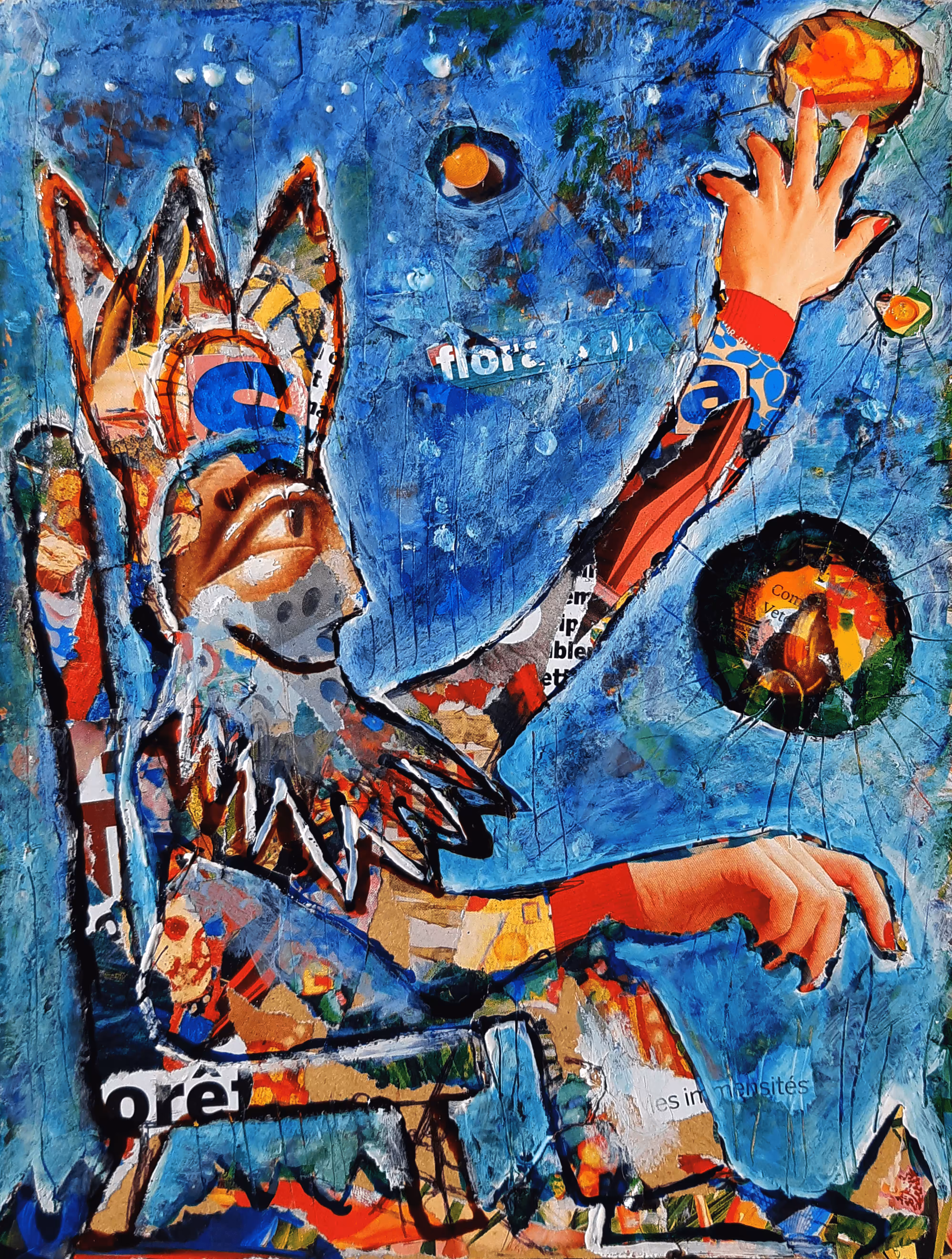 The Stargazer