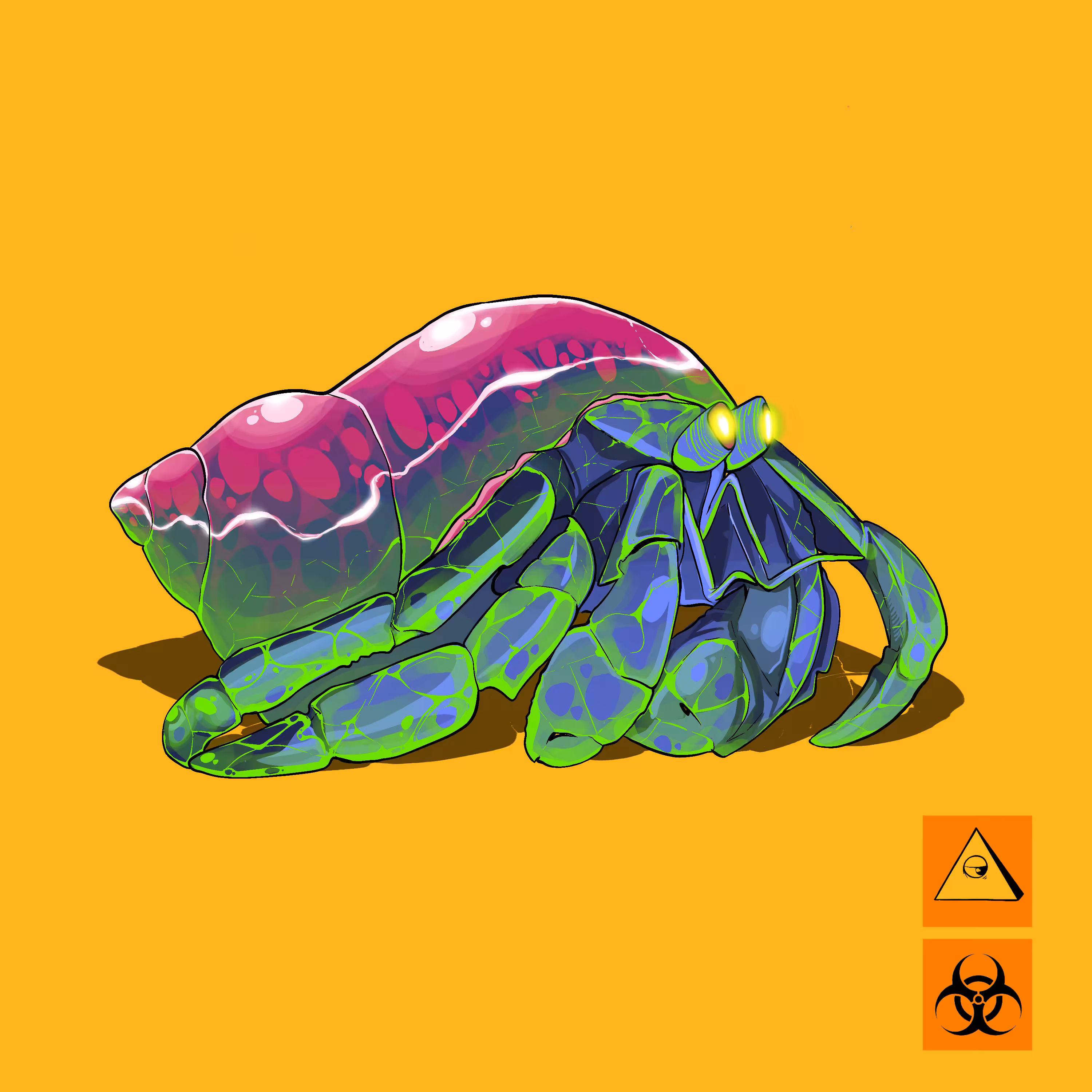 Hermit Crab