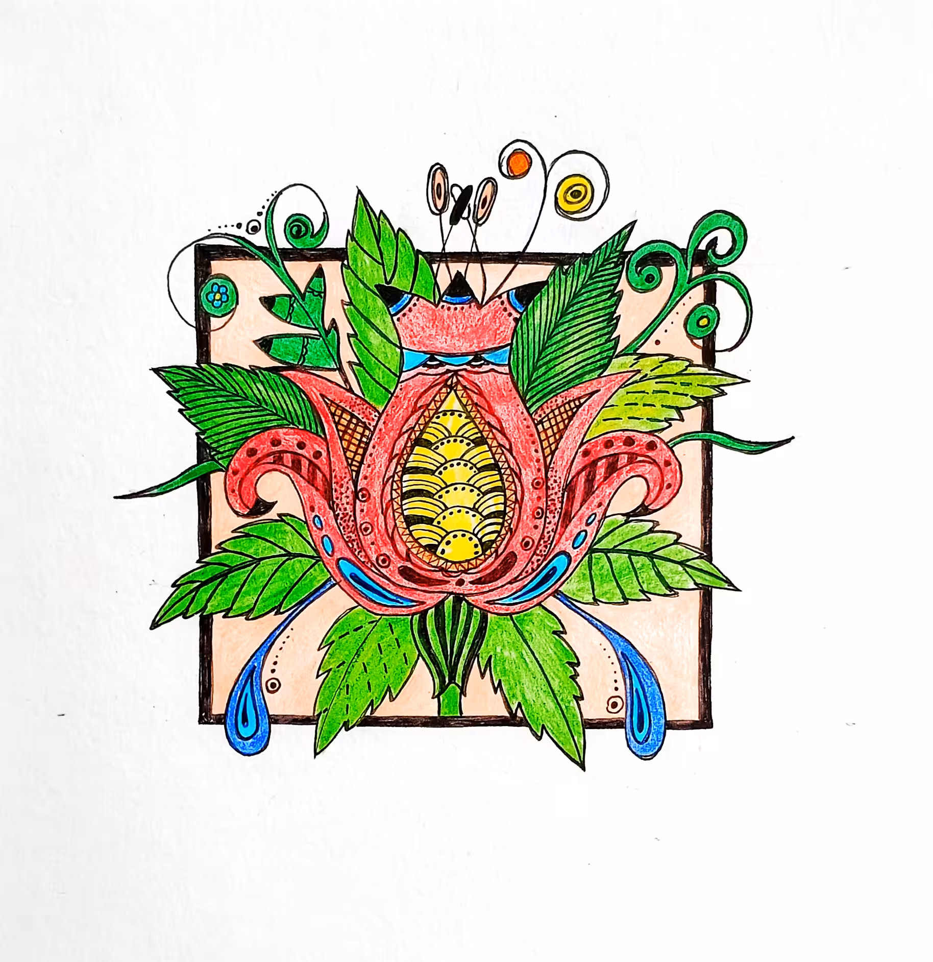 tulip