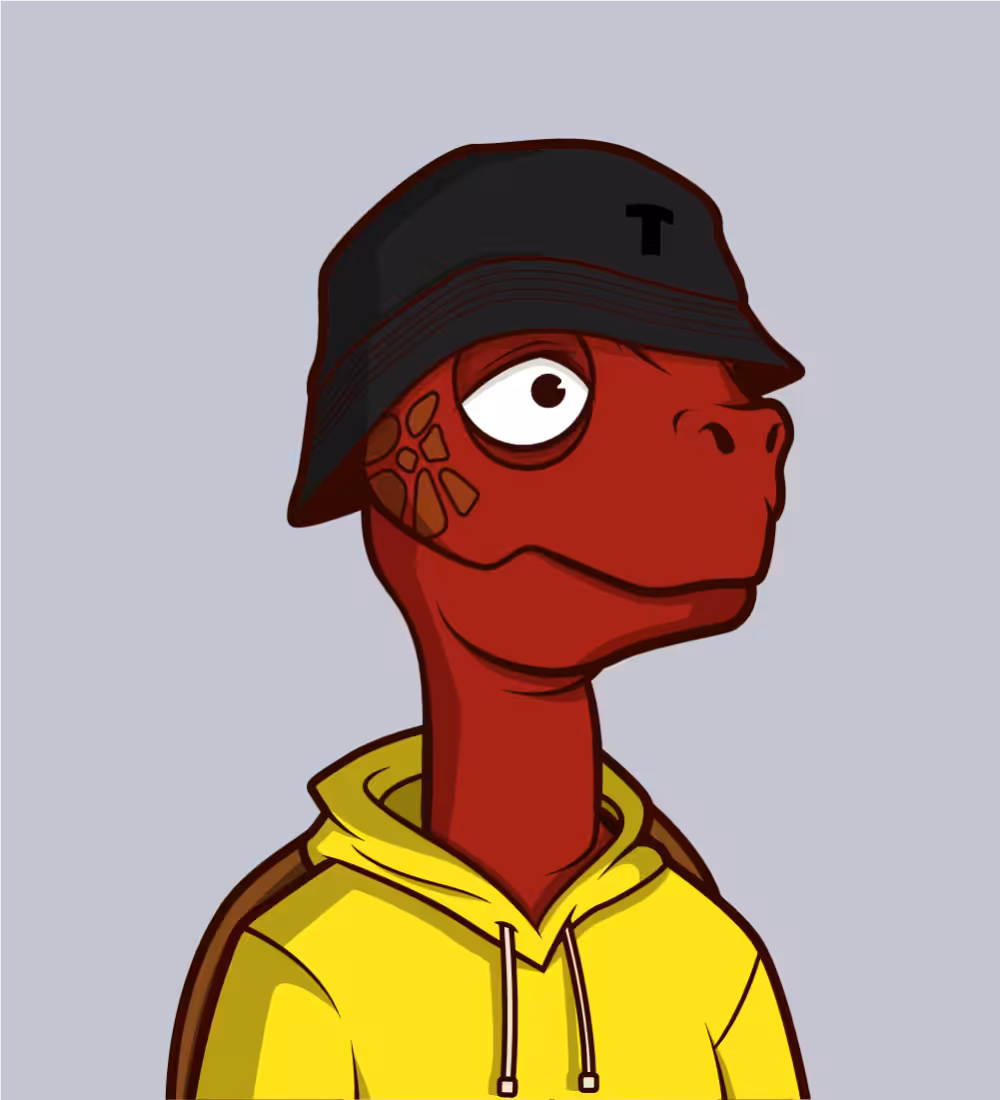 Tiny Turtle 01