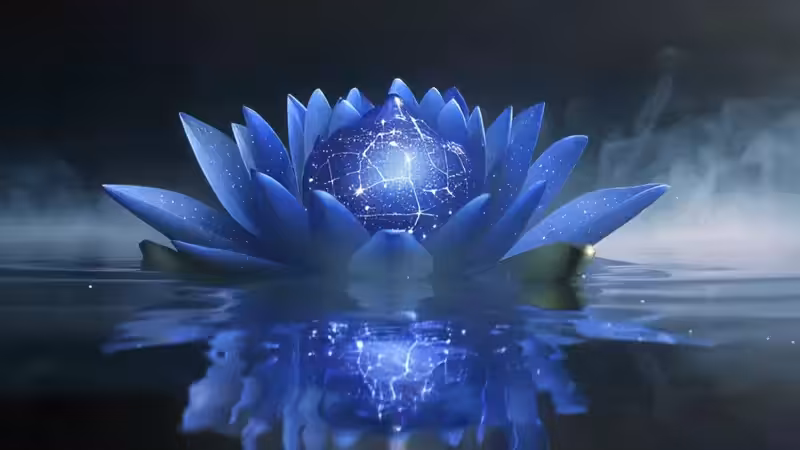 DX01: SINGULARITY 26572