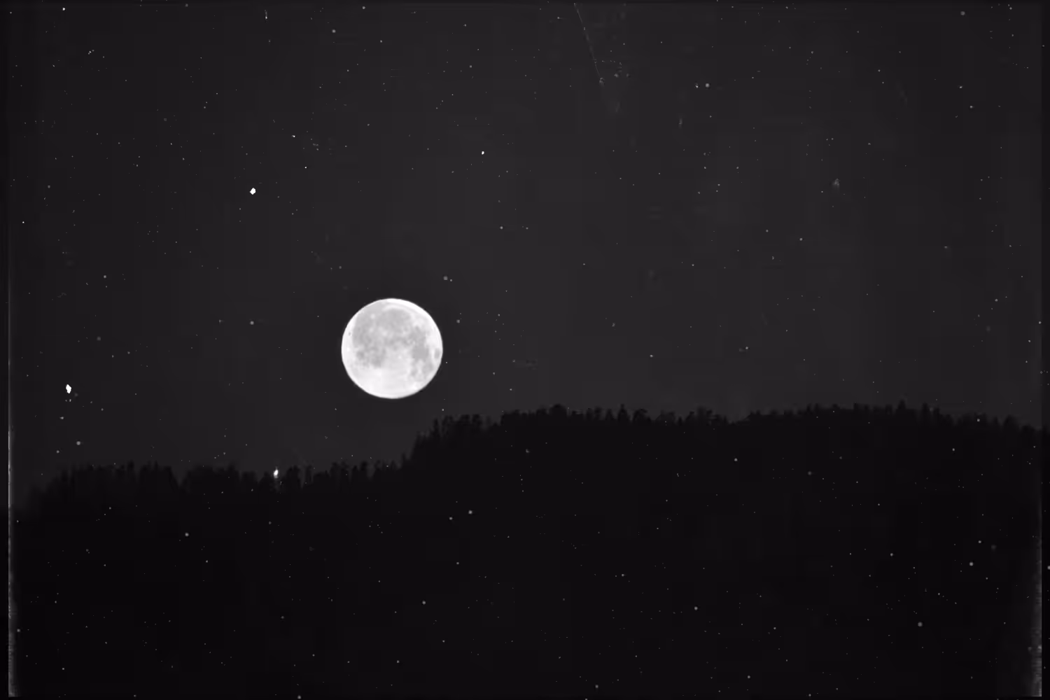 Echo of the Night 
