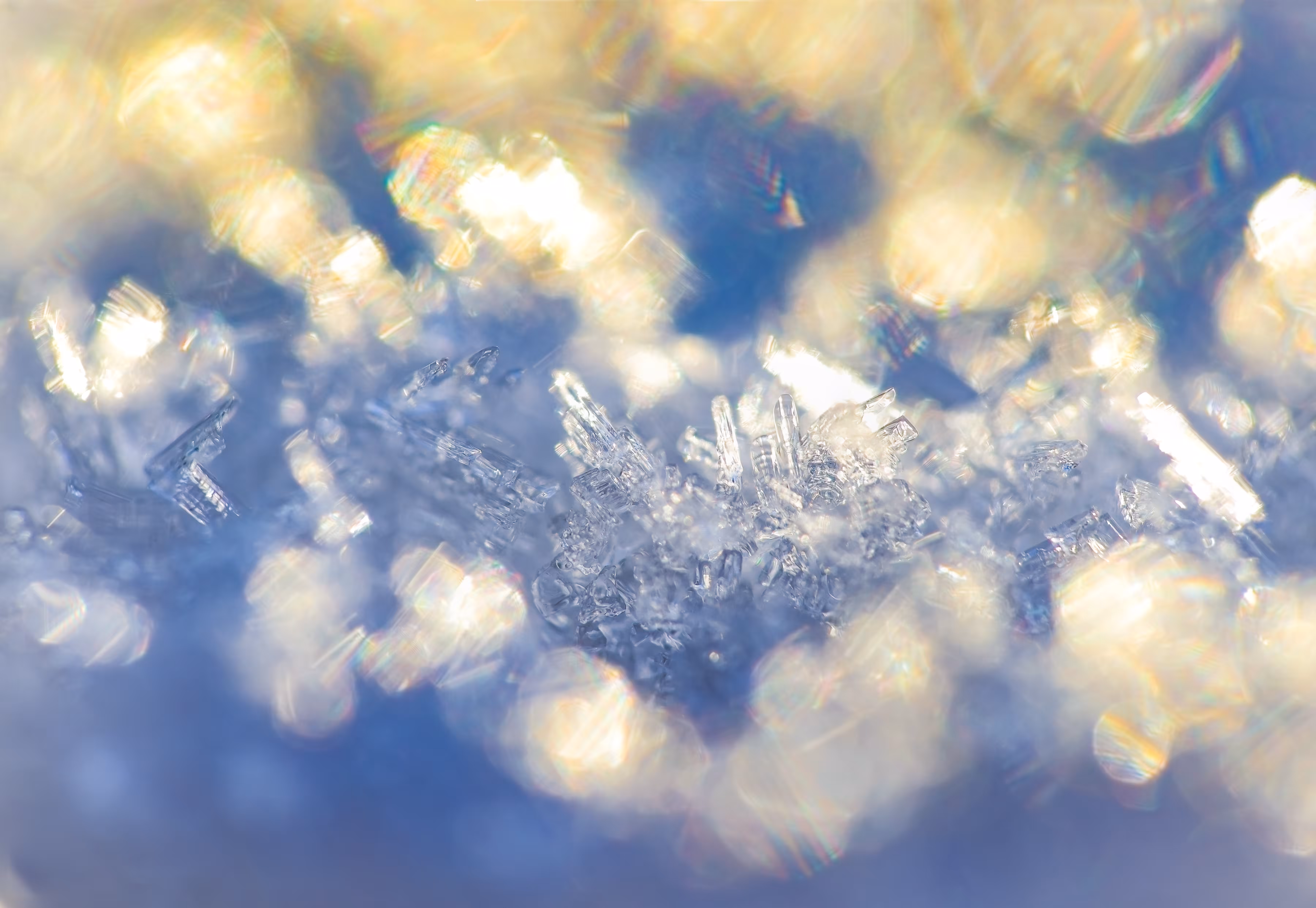 Frosted Chromatics 