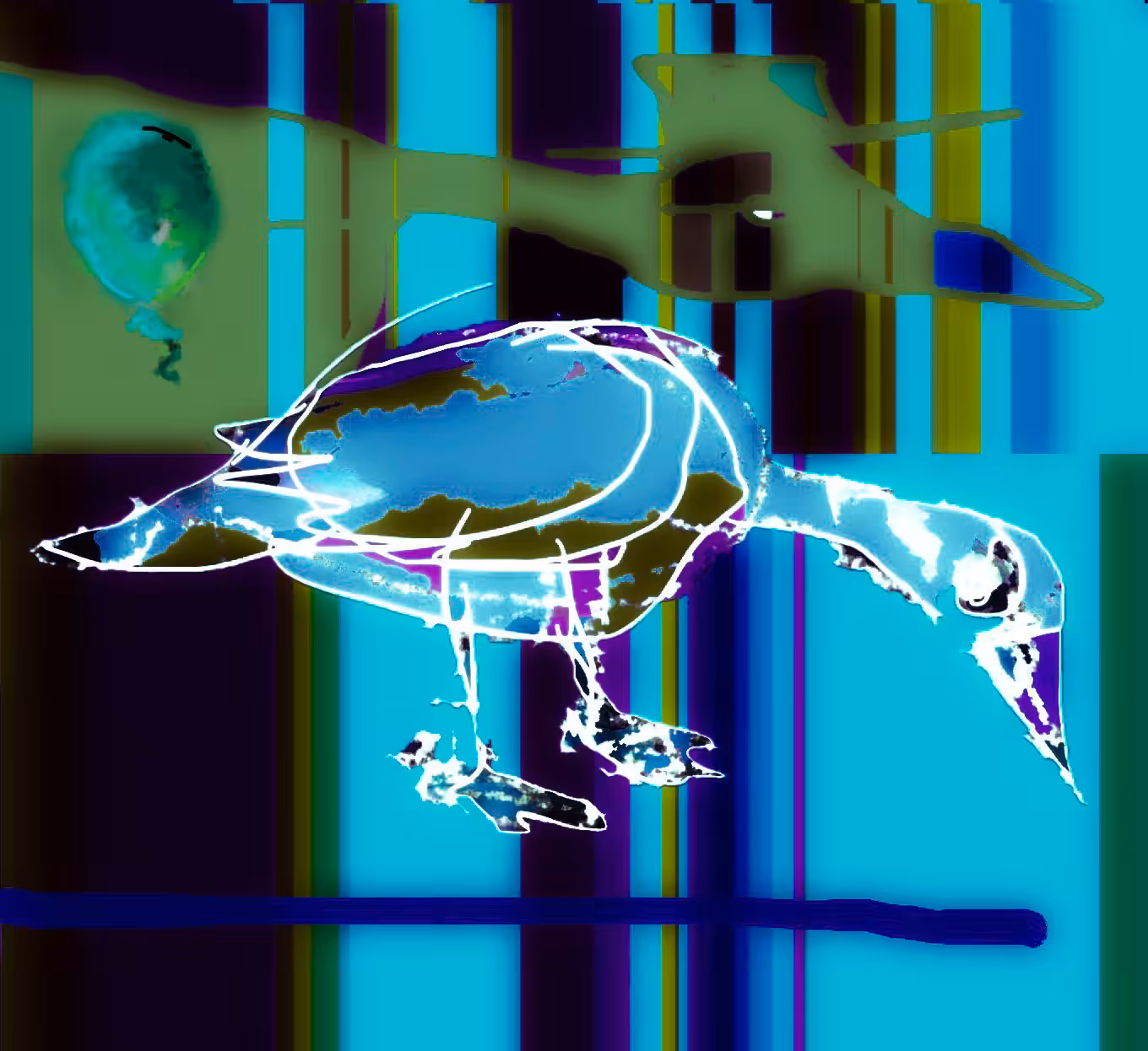 Graffiti DUX au clair de lune - aka Duck