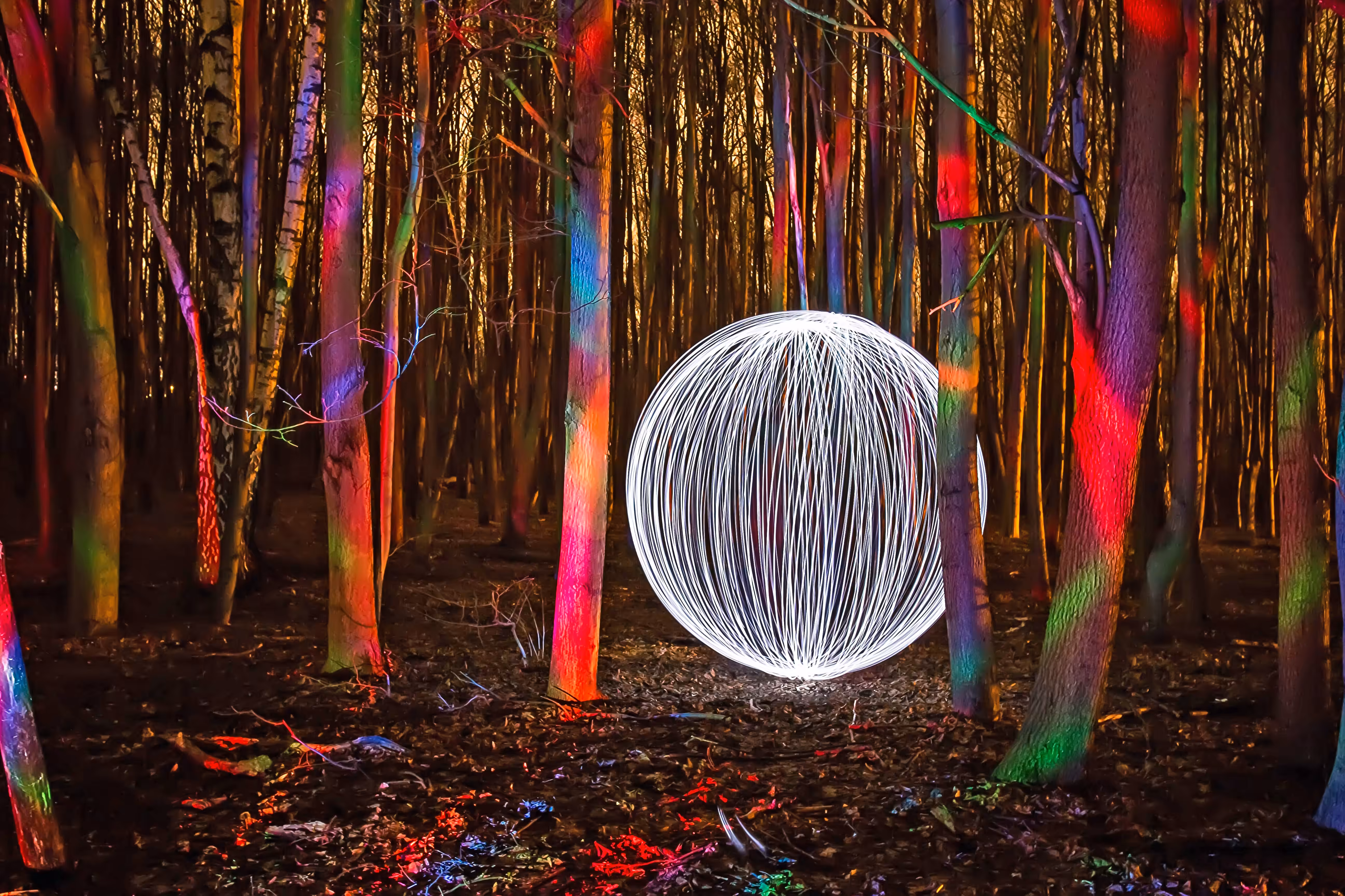 Strange forest.