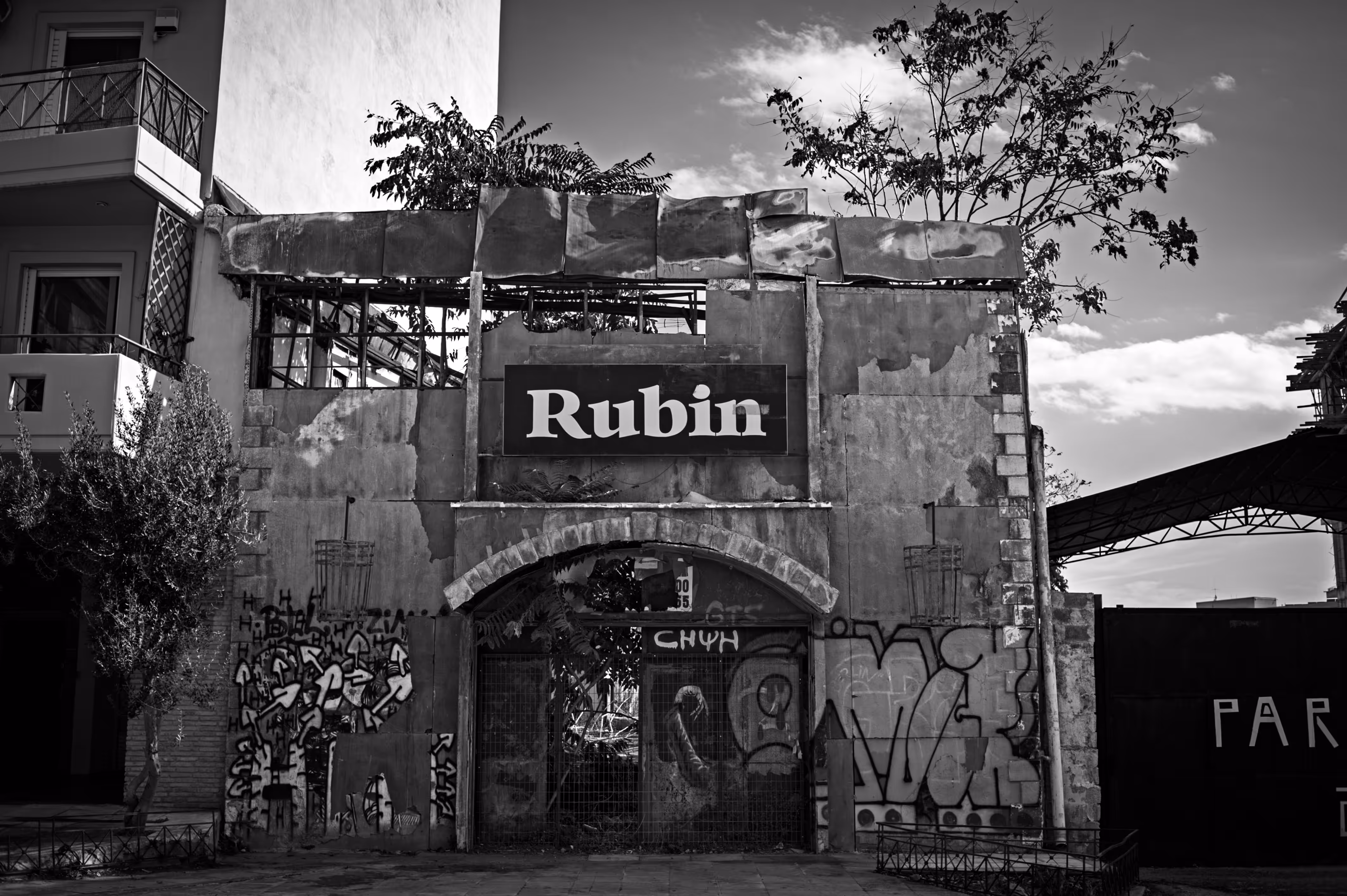 The Rubin