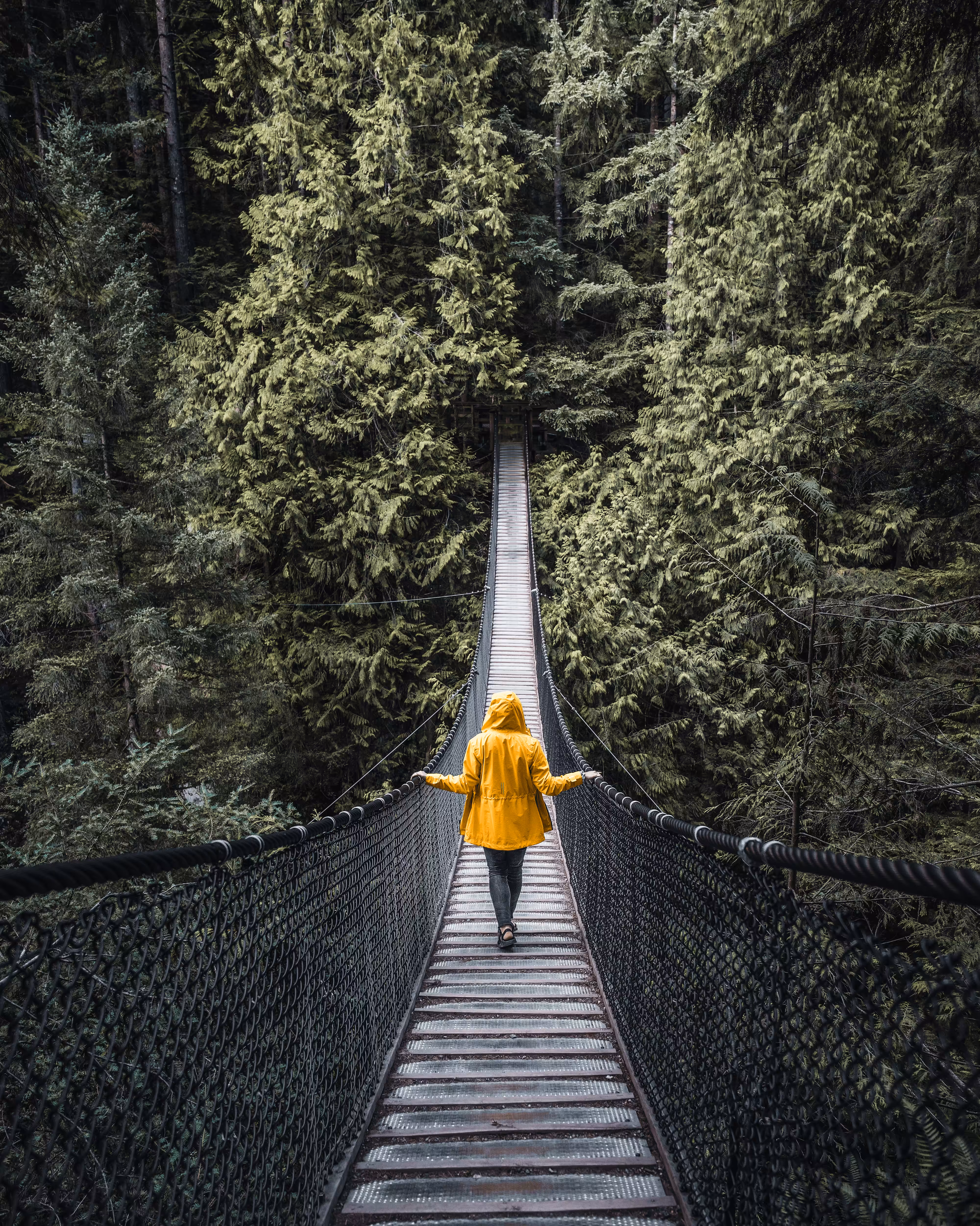 Hint of Yellow #1 - Across the Divide