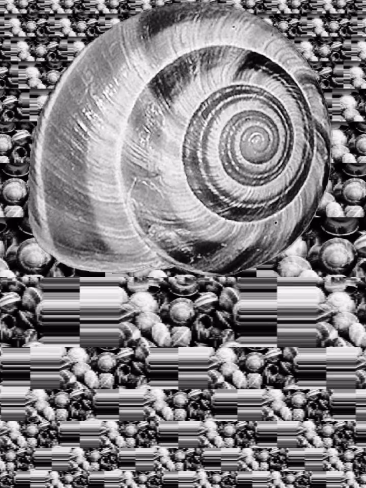 Cochlea, The American Dream
