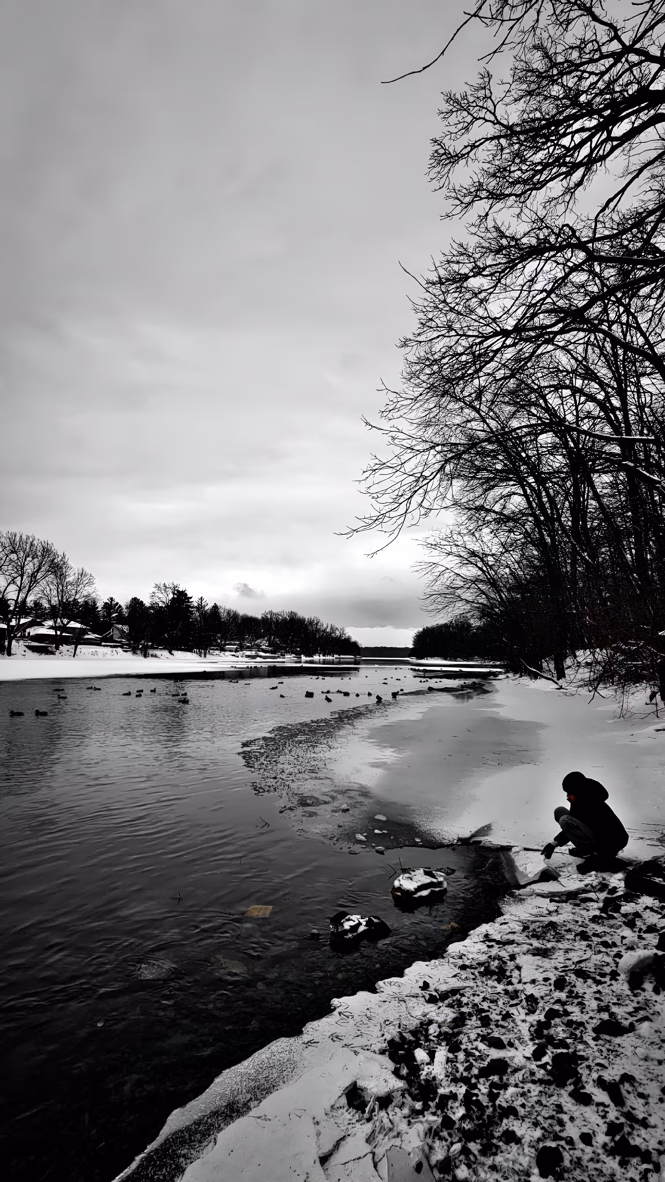 Everyday Pictures: Day #18