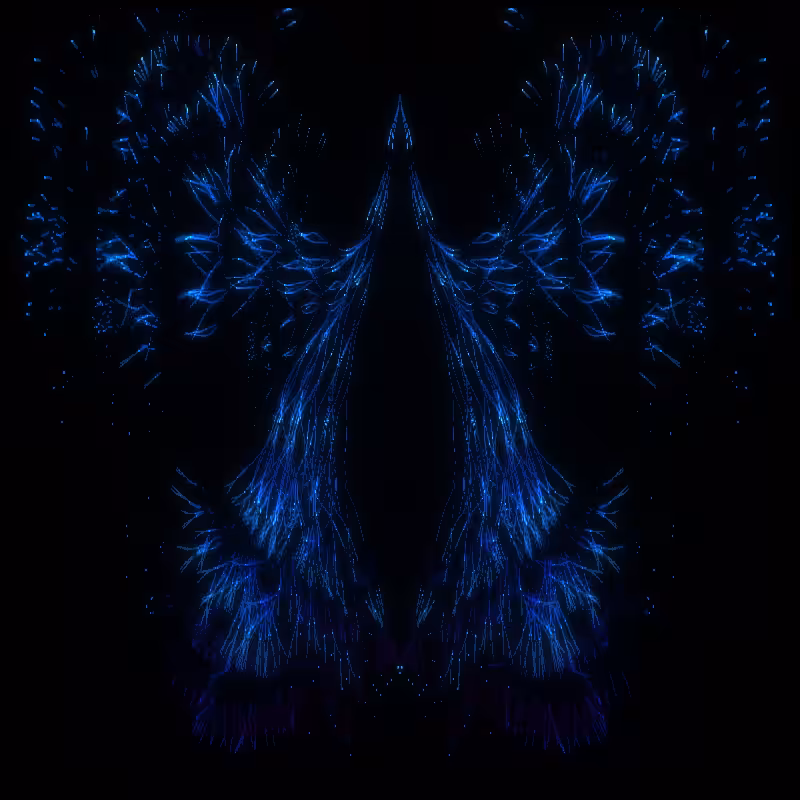 Oiseaux-Manège #47
