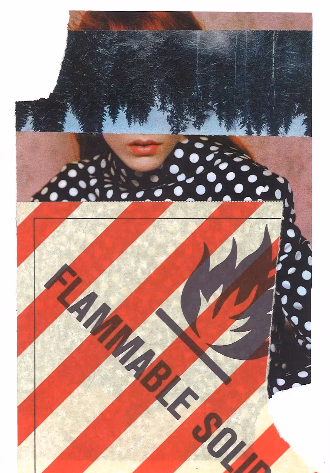 Flammable Solid 