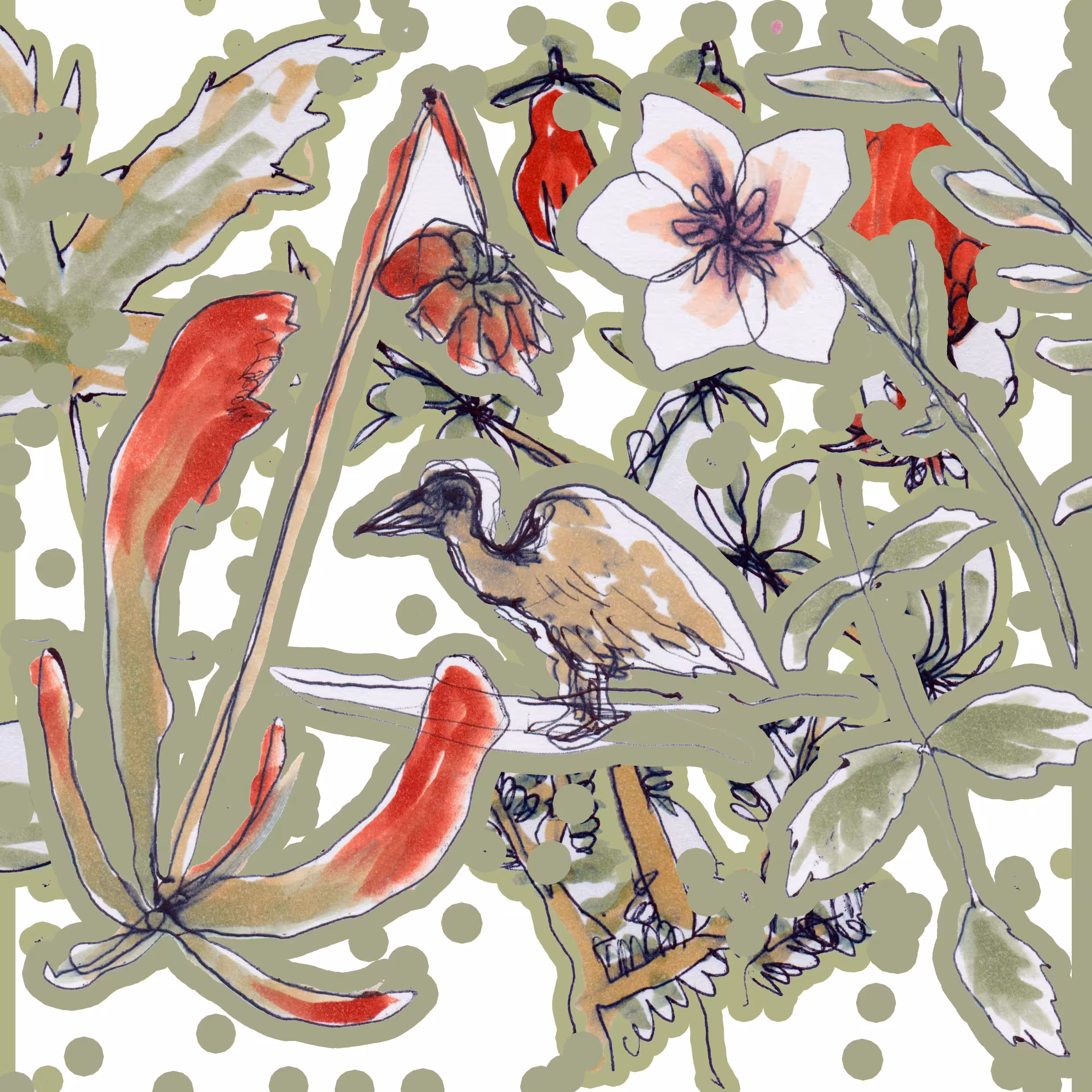 Flora