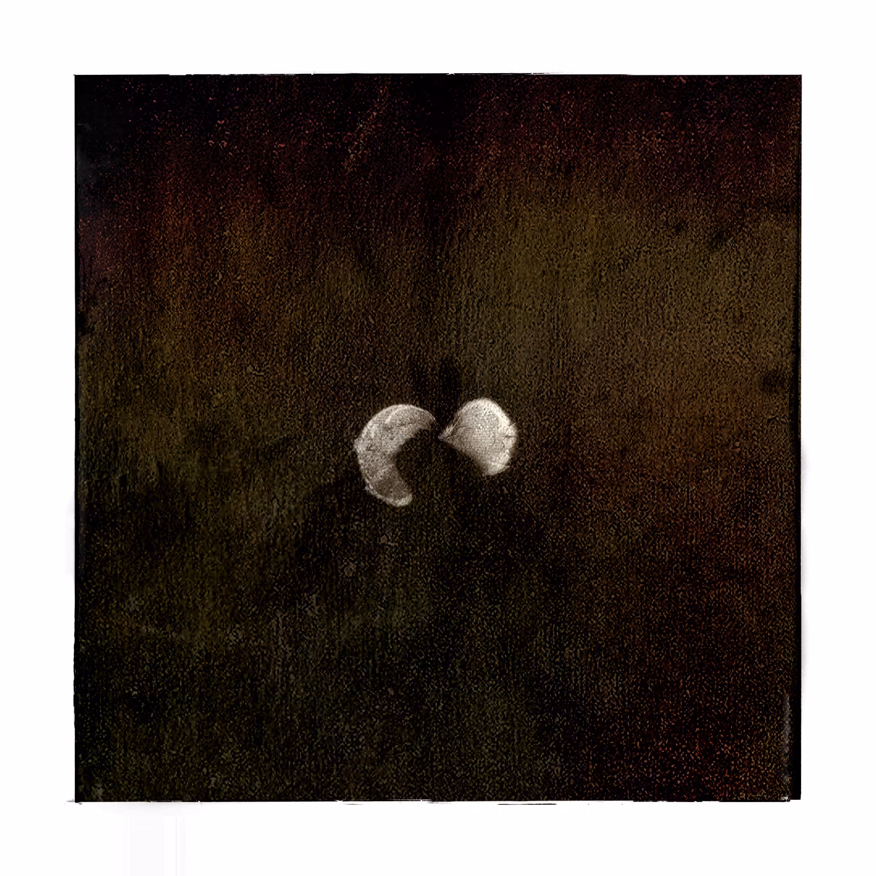 EMOTIONS 