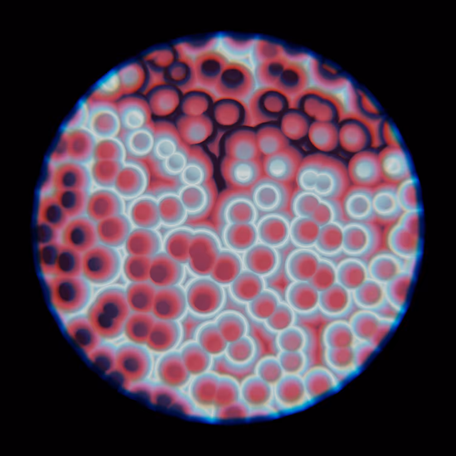 Under the Microscope