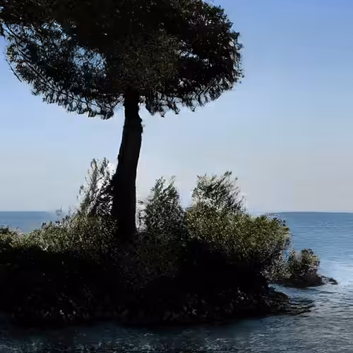 Founder Island #4