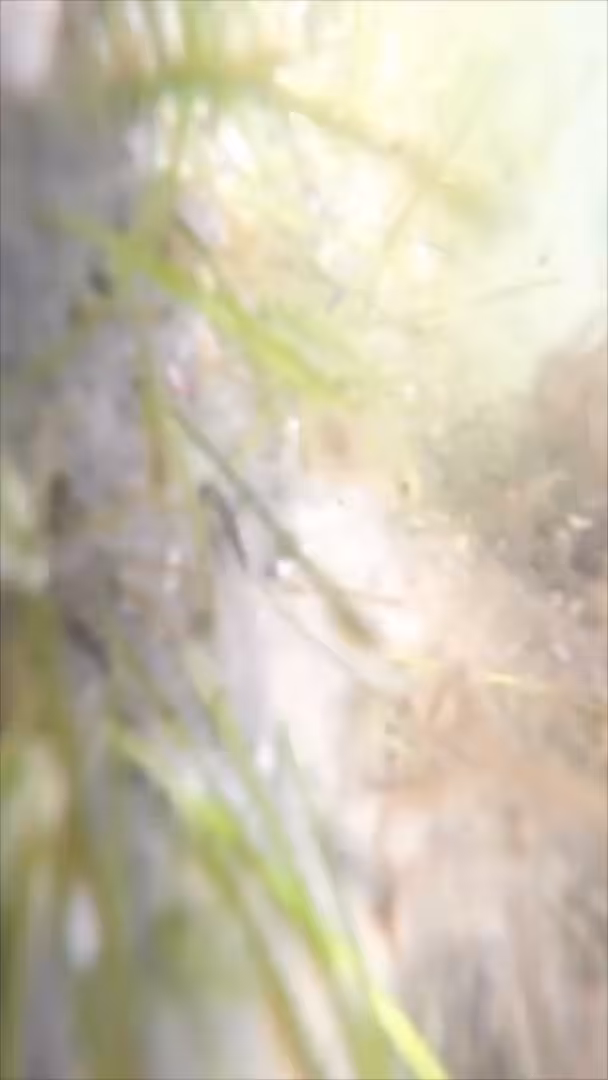 liberdad(e)_[fr33dom]