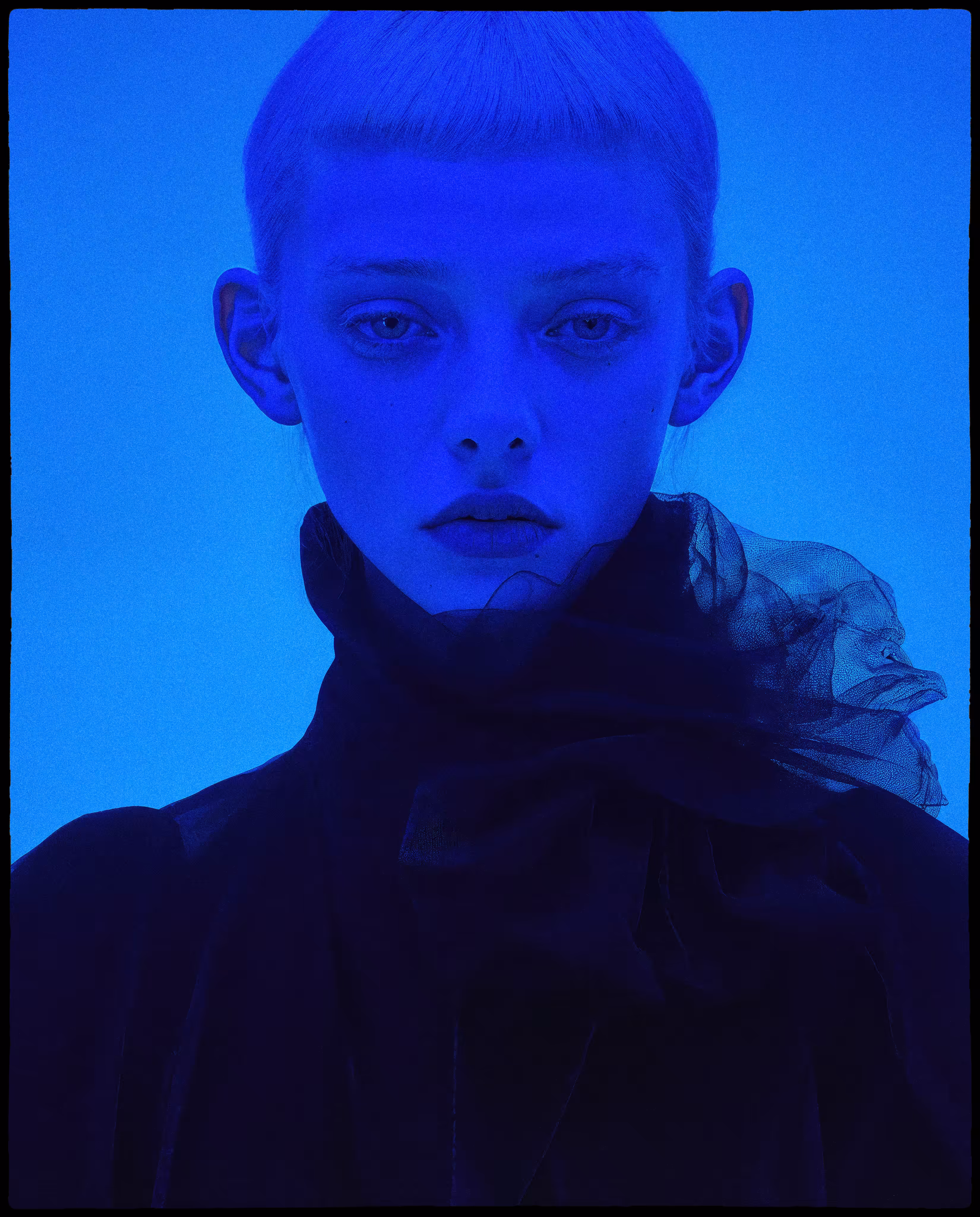 “I place a delphinium, Blue, upon your grave”