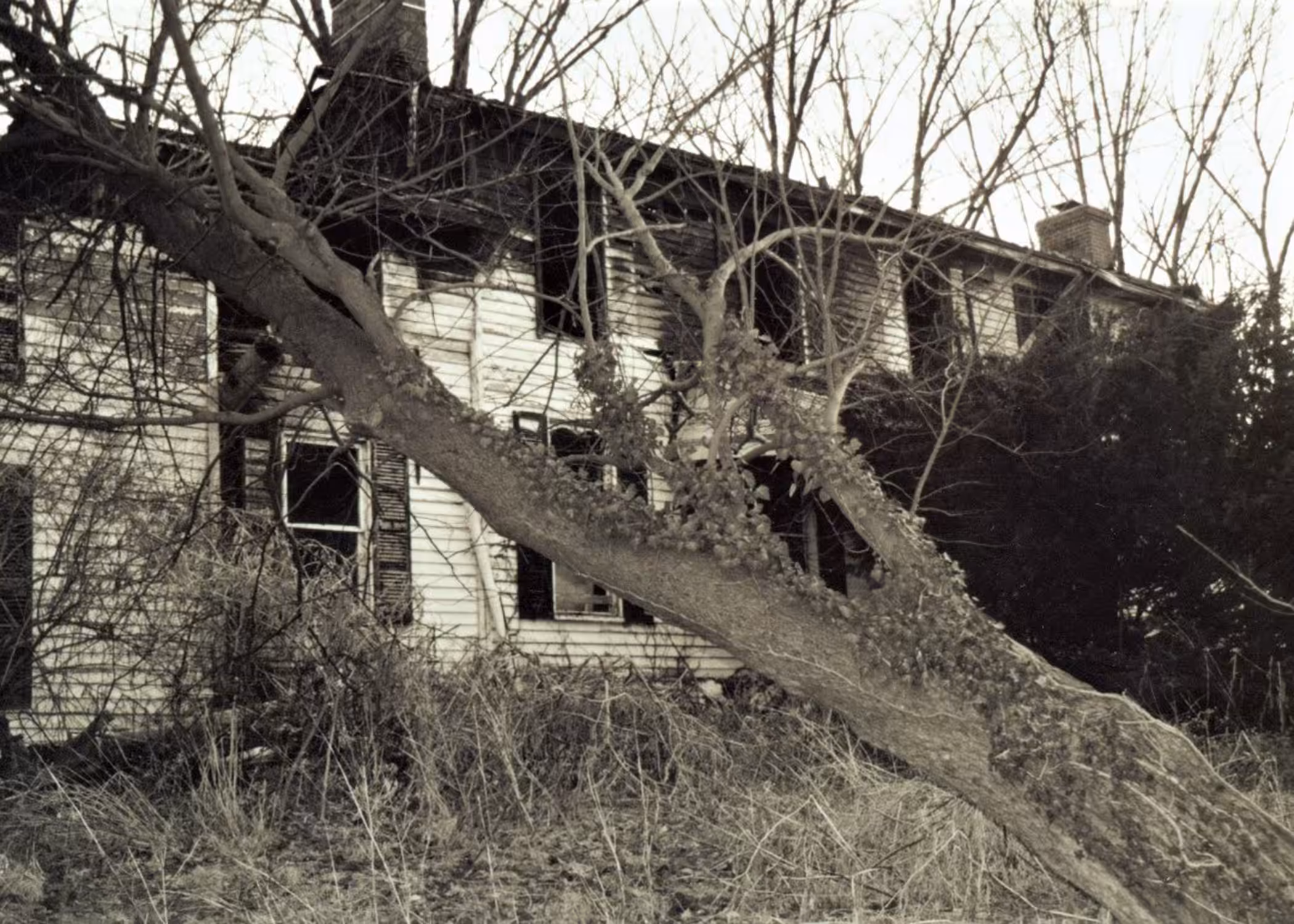 Abandoned House #1