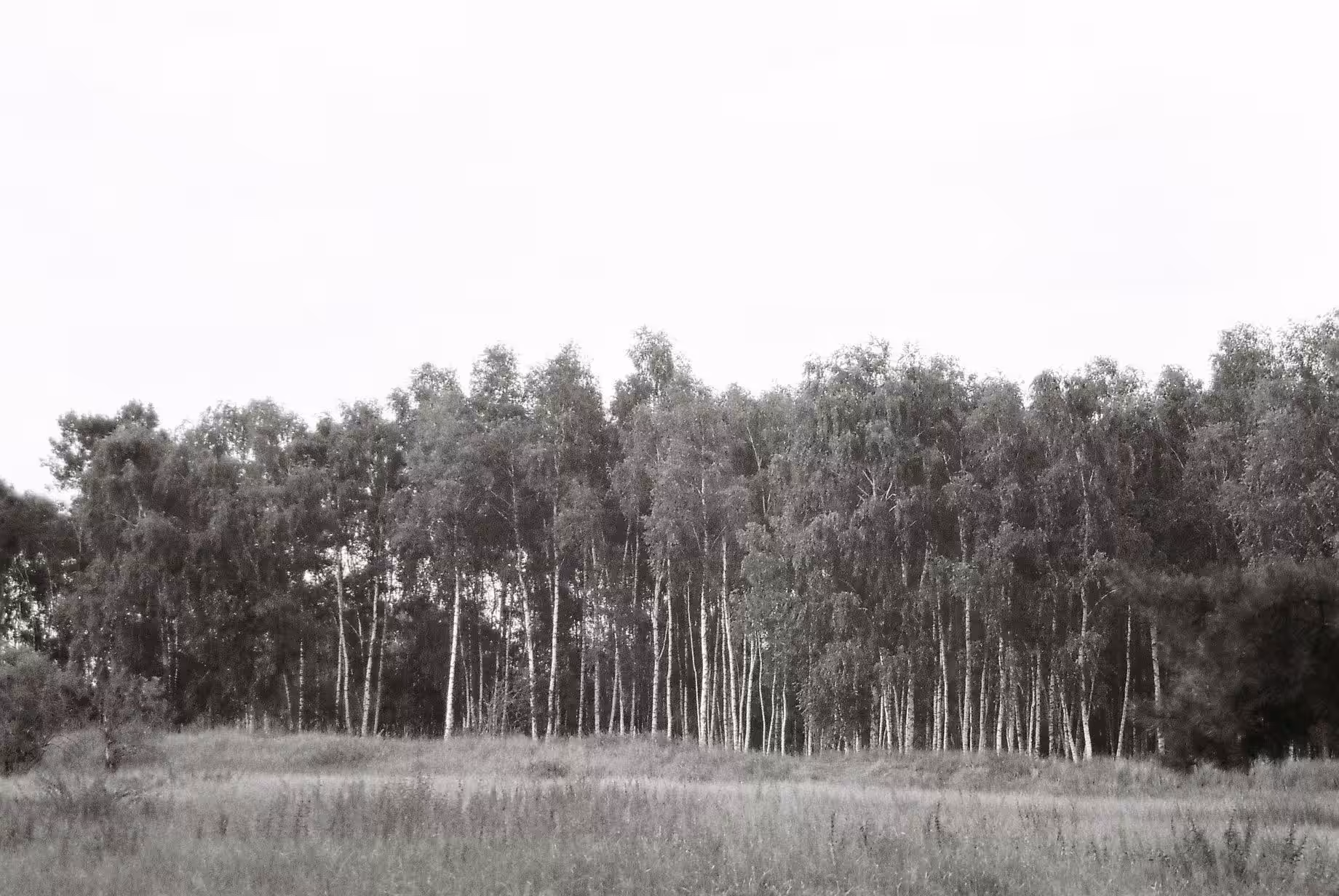 Passed Deception