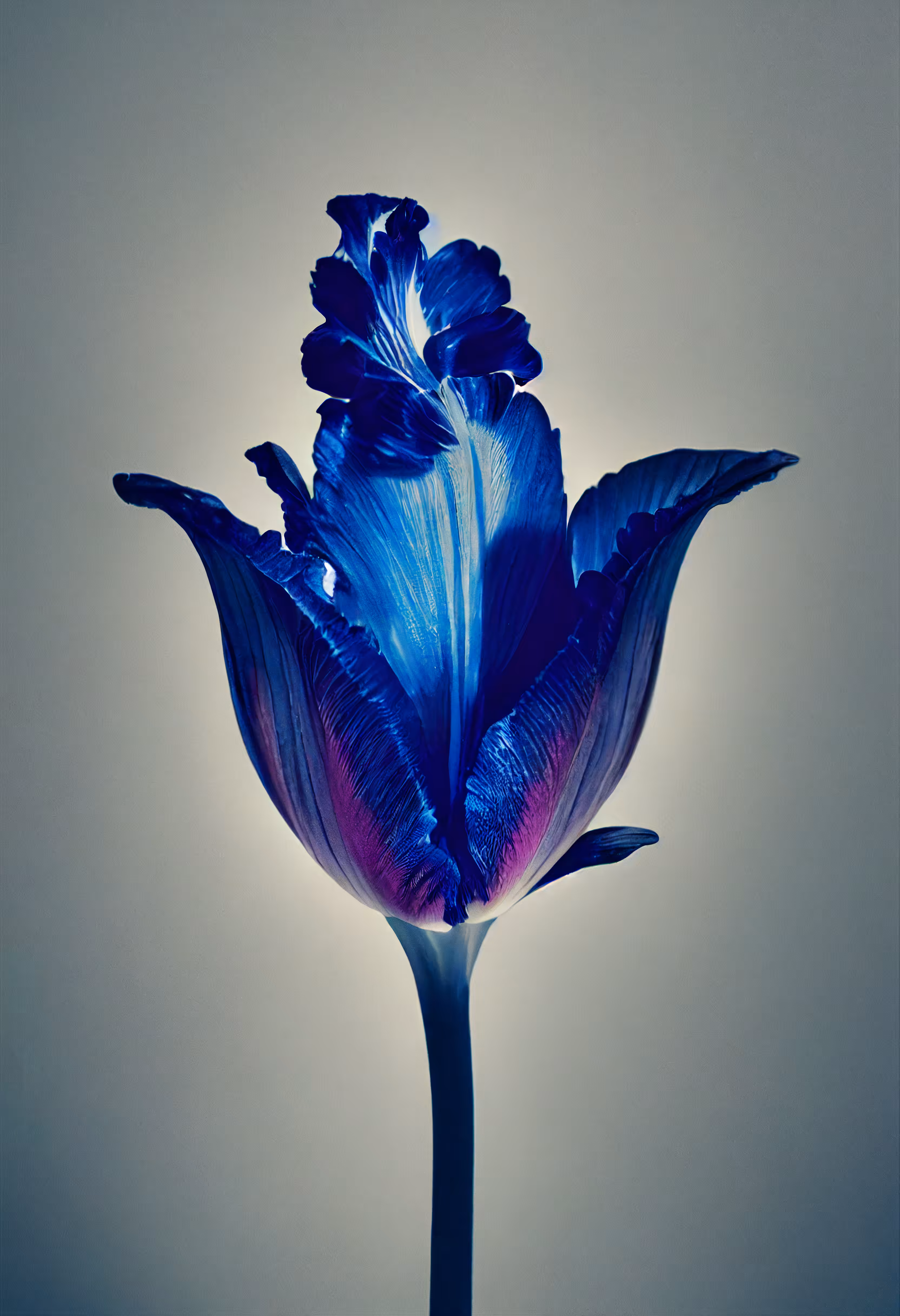 A Flower, Just For You. #222