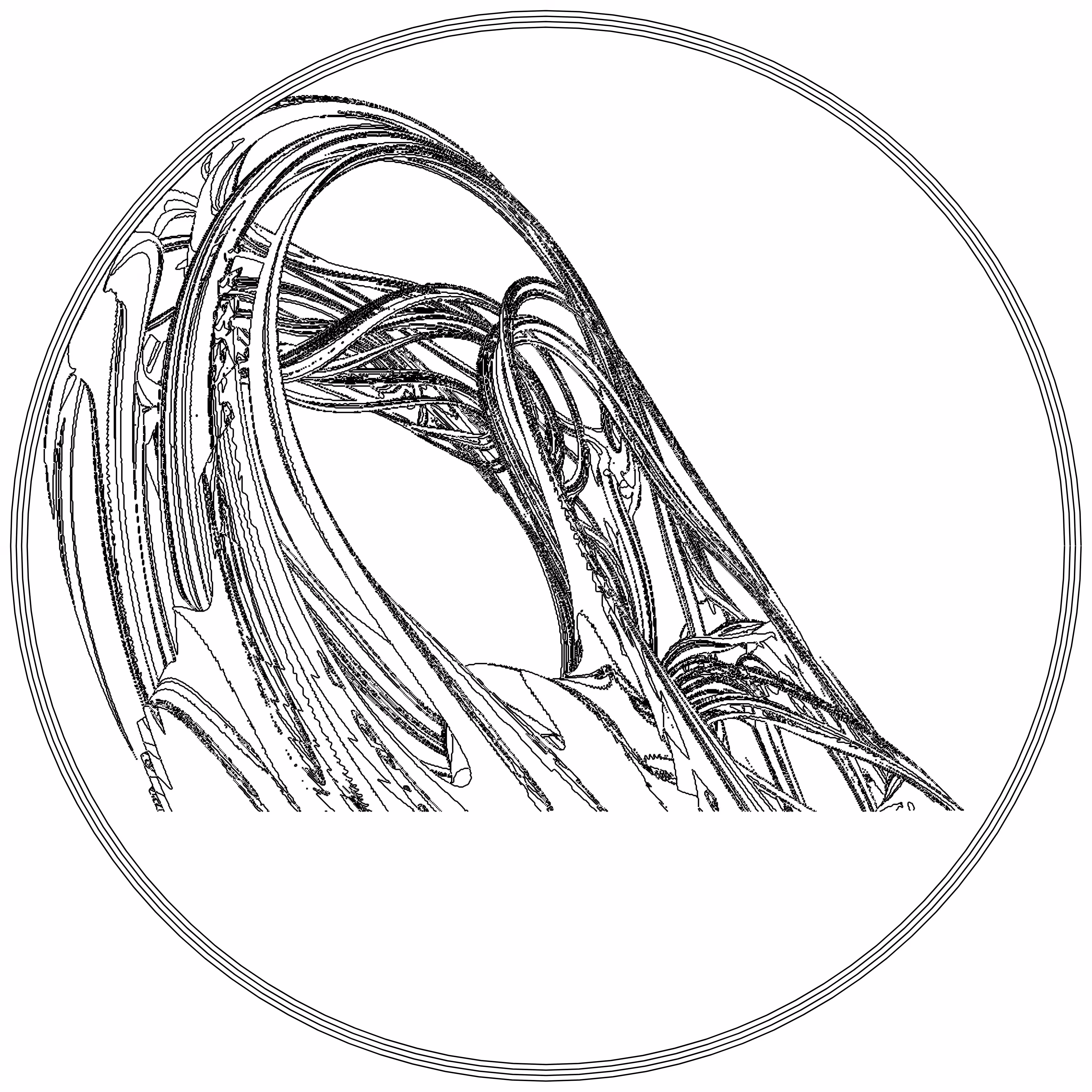 LL21 Fractal Contour #13