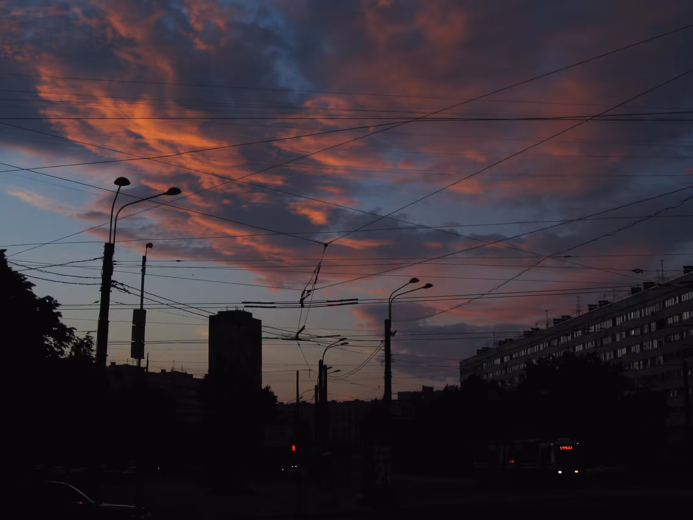 летняя ночь