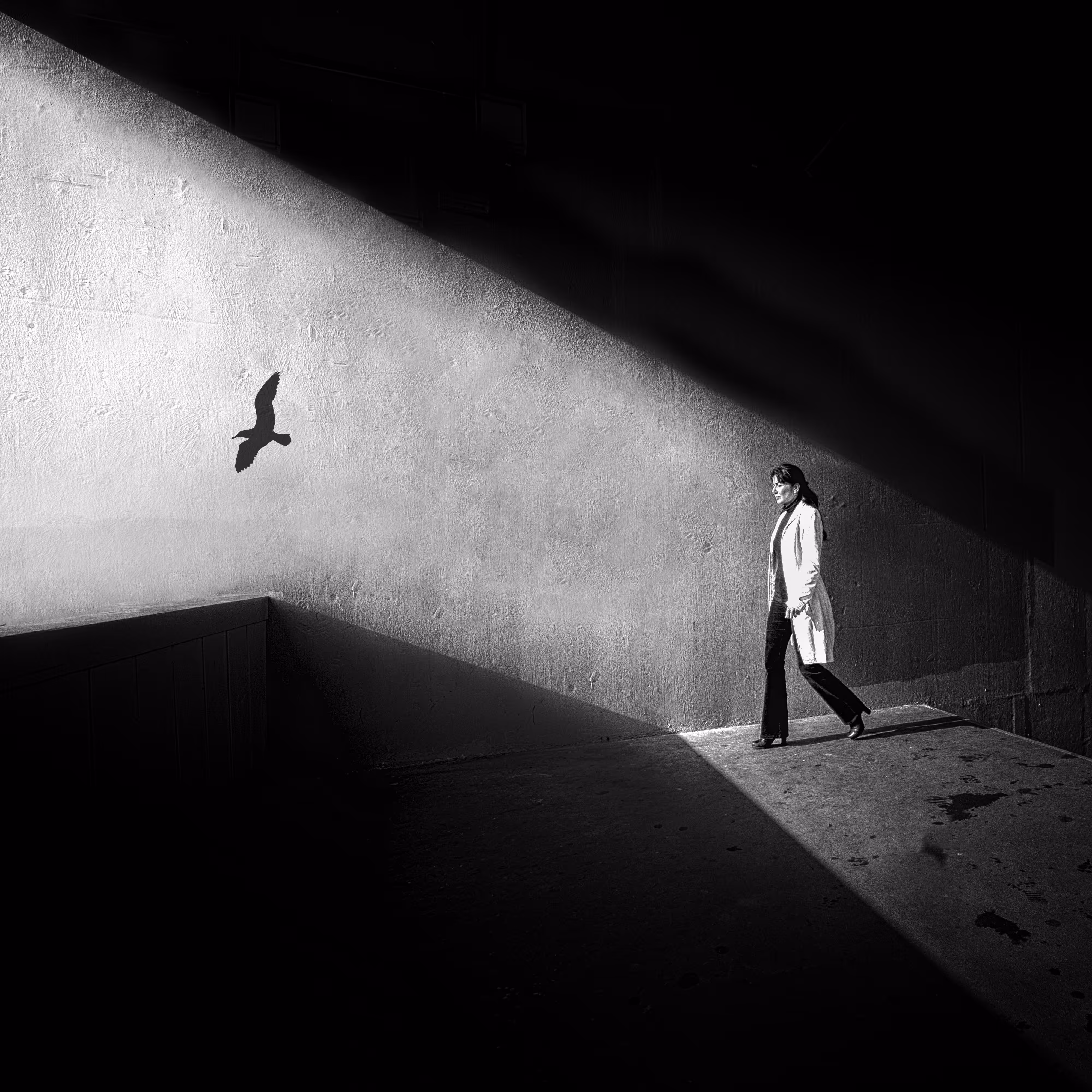 Into the Light